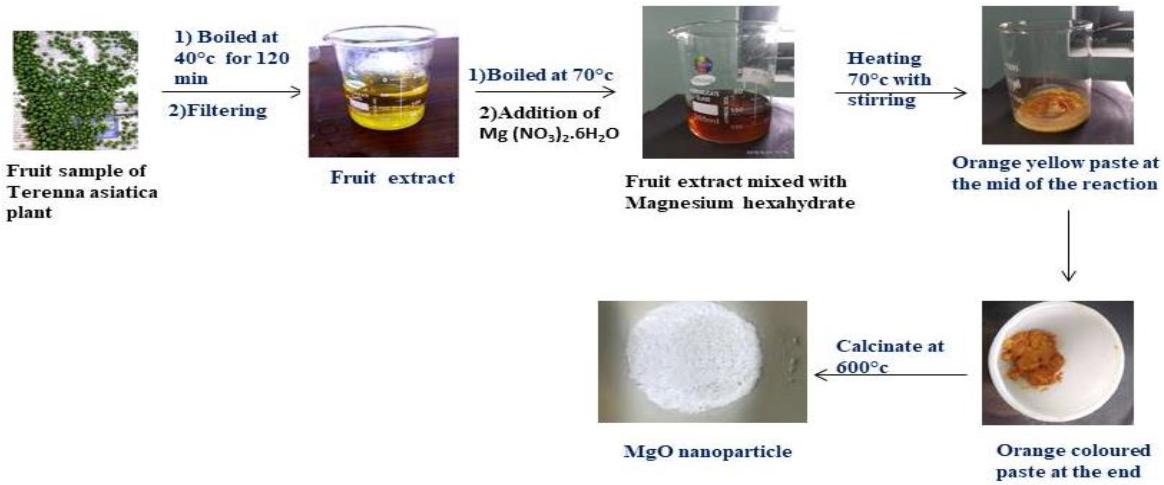 Molecules 27 05162 g010 550
