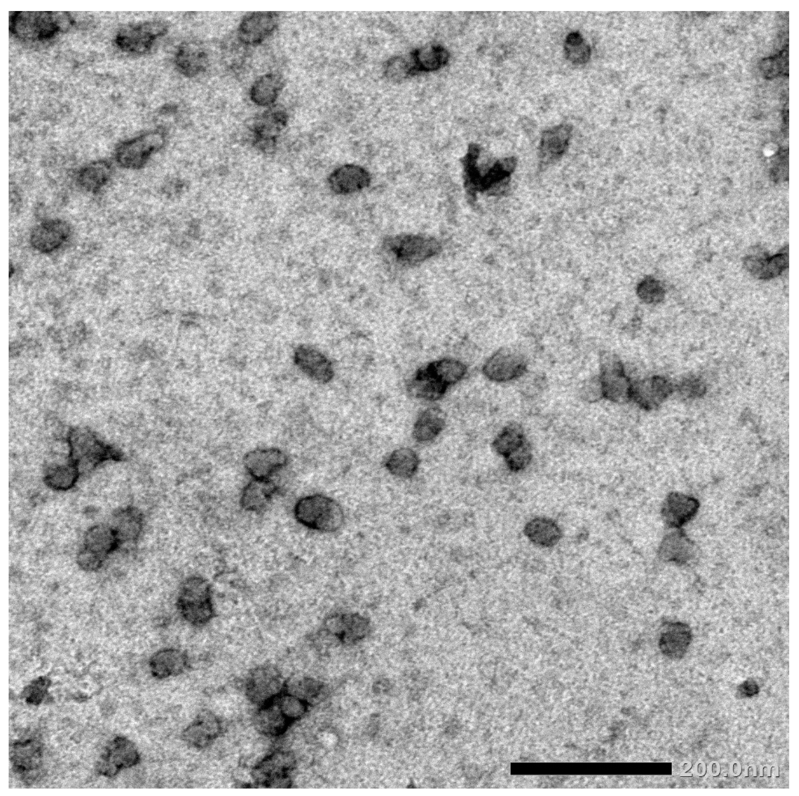 Molecules 27 05165 g004