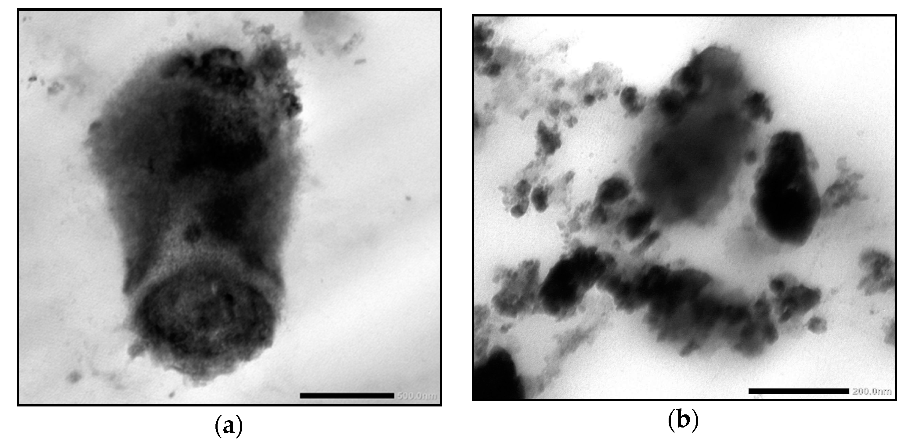 Molecules 27 05165 g006