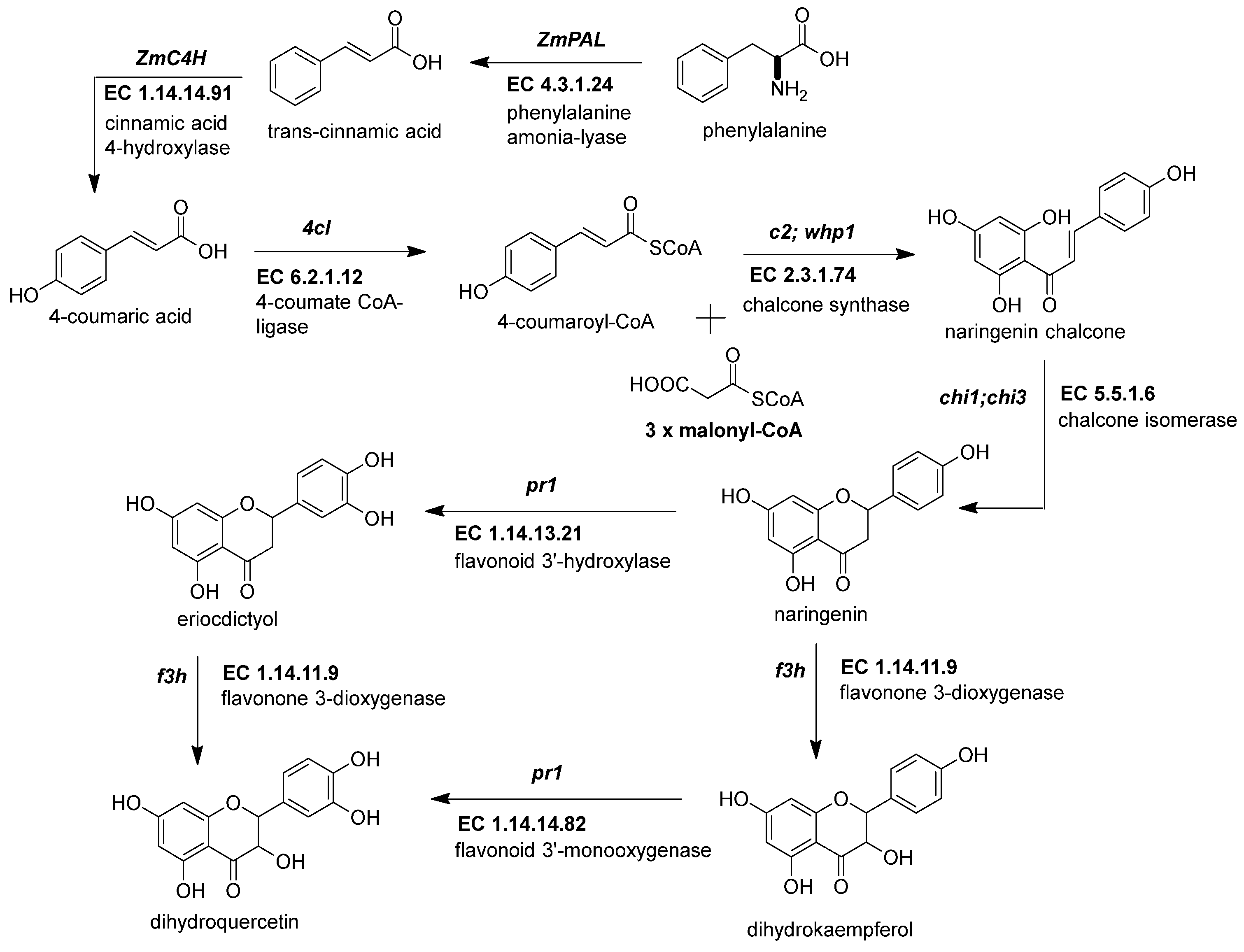 Molecules 27 05166 g002 Molecules 27 05166 g002