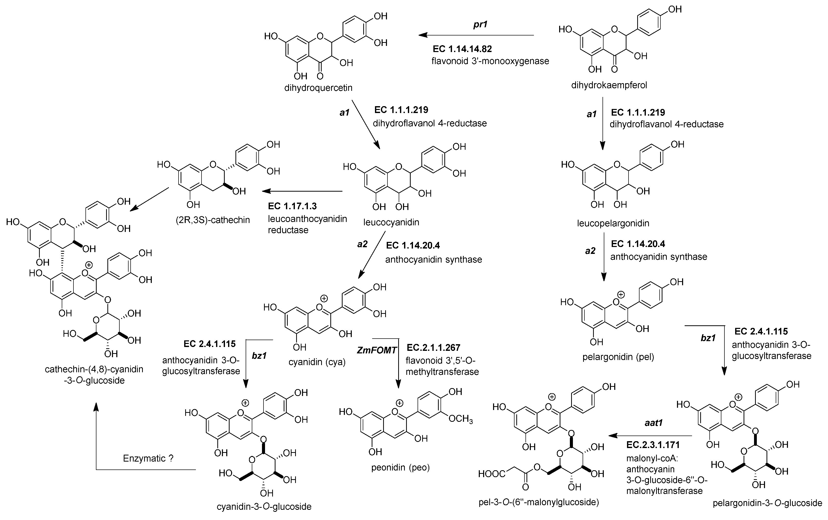 Molecules 27 05166 g003 Molecules 27 05166 g003