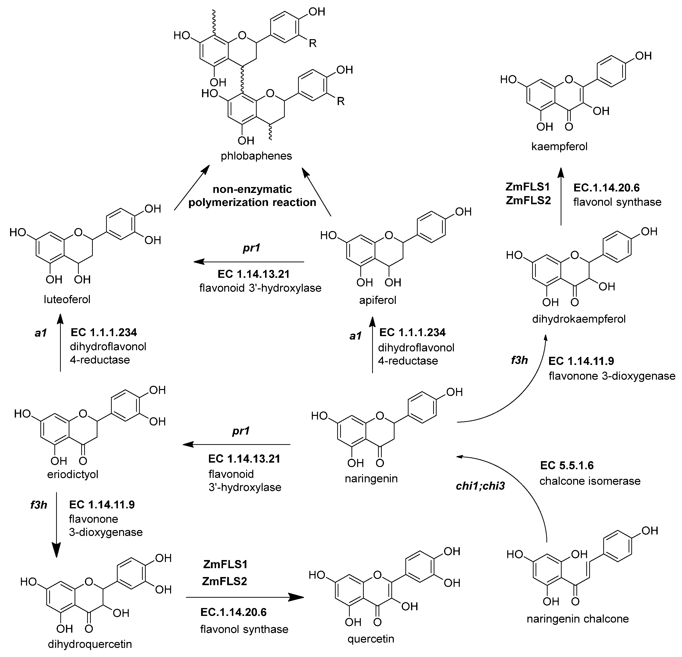 Molecules 27 05166 g004 Molecules 27 05166 g004