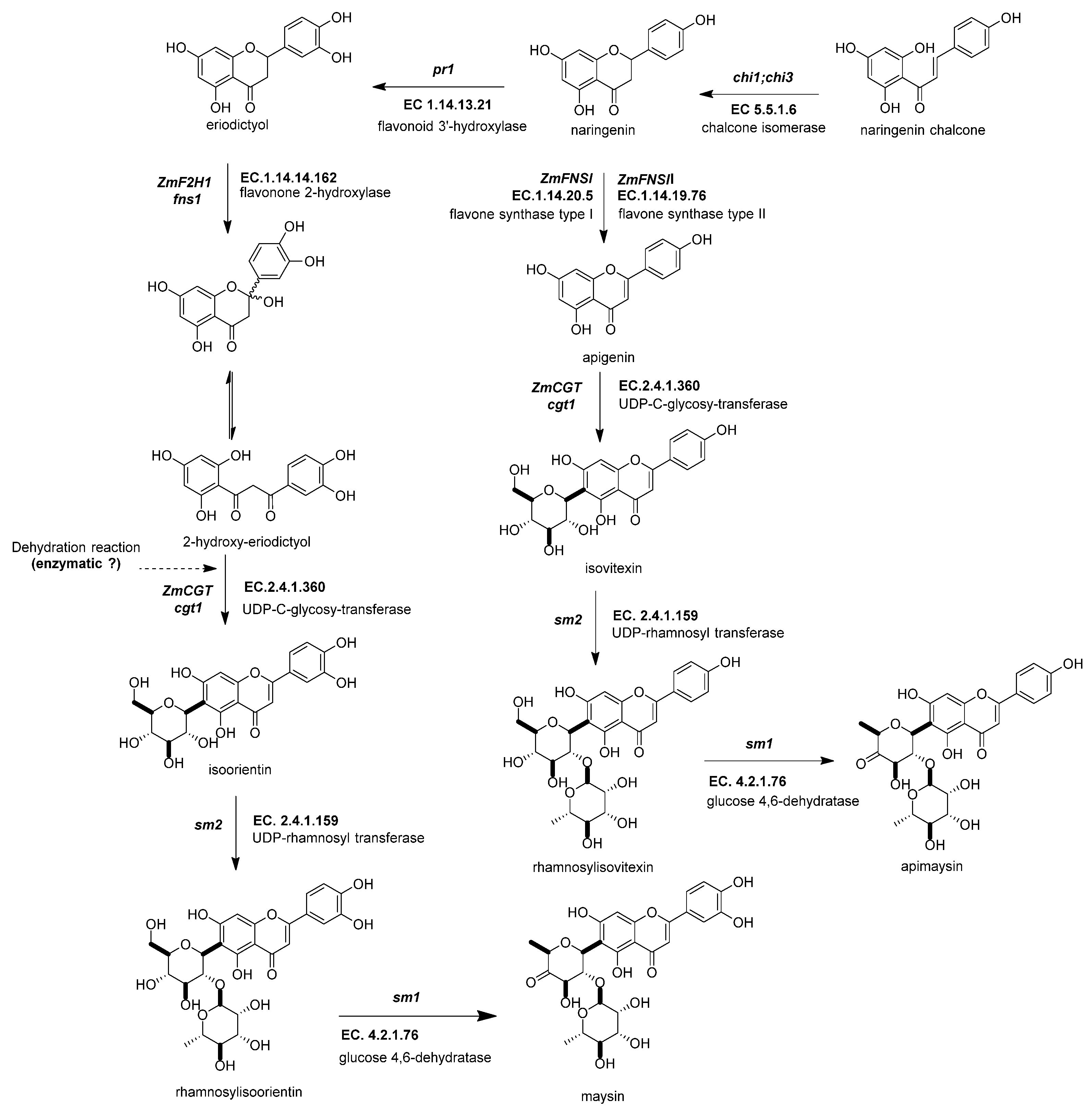 Molecules 27 05166 g005 Molecules 27 05166 g005