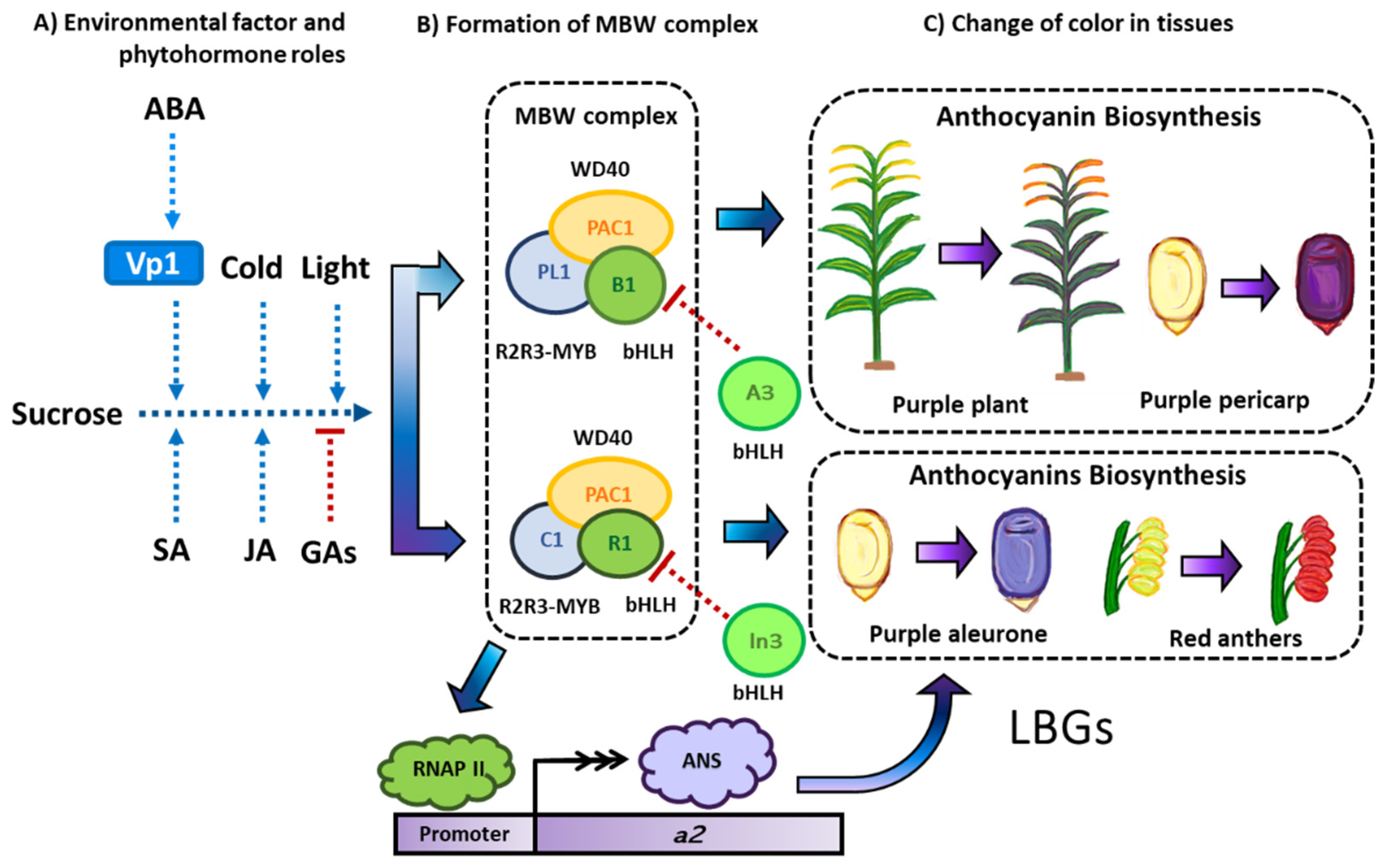 Molecules 27 05166 g006 Molecules 27 05166 g006