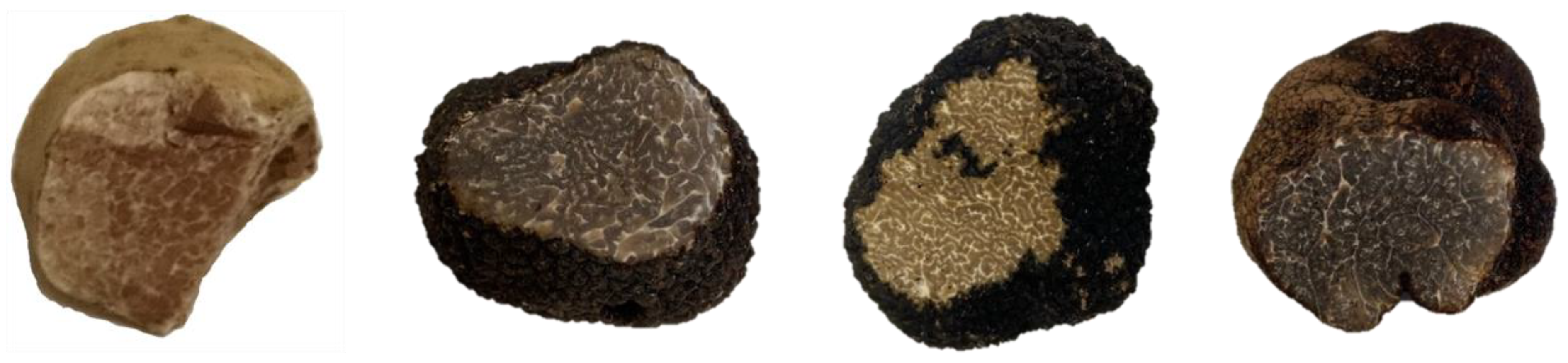 Molecules 27 05169 g001 550