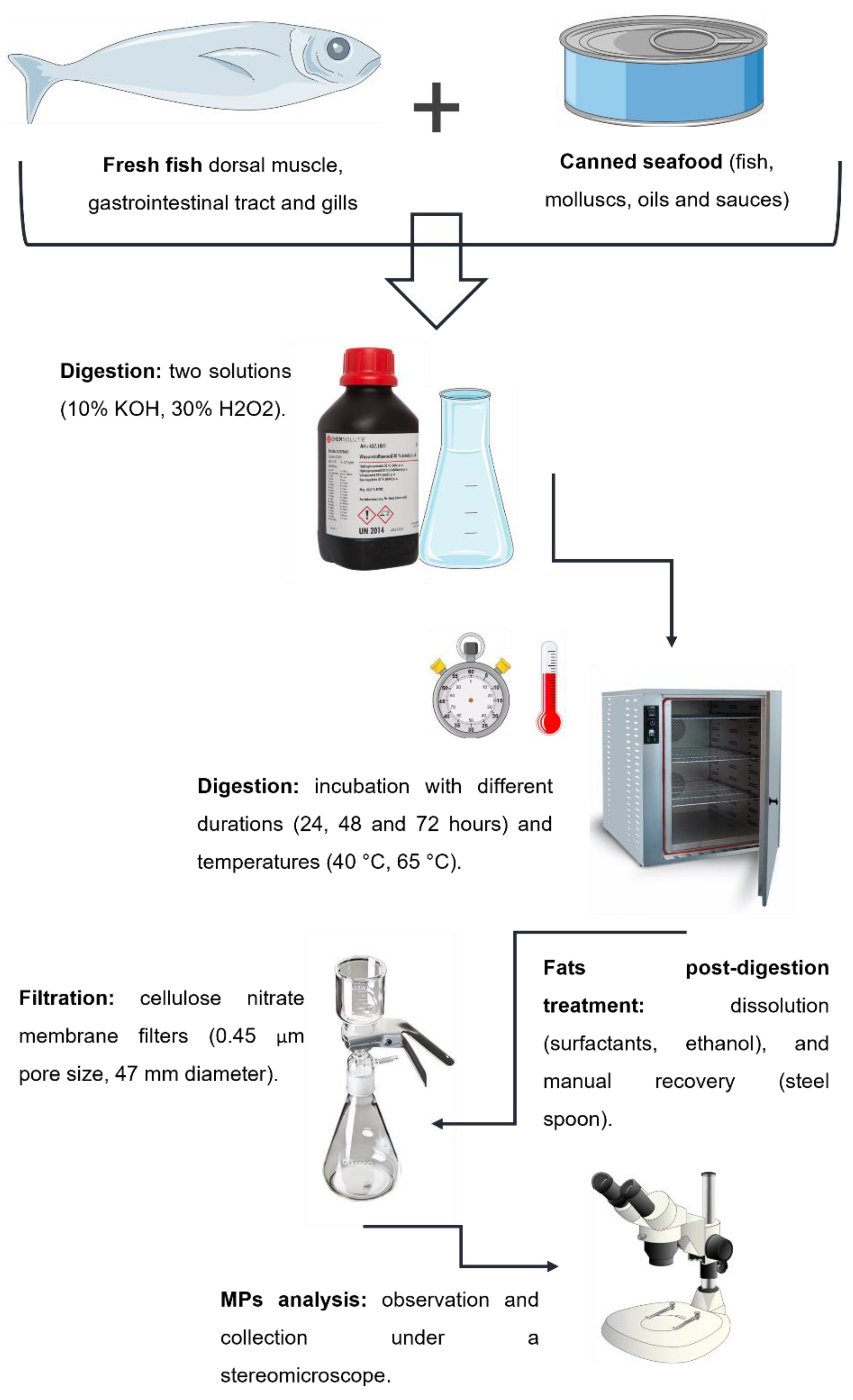 Molecules 27 05172 g001