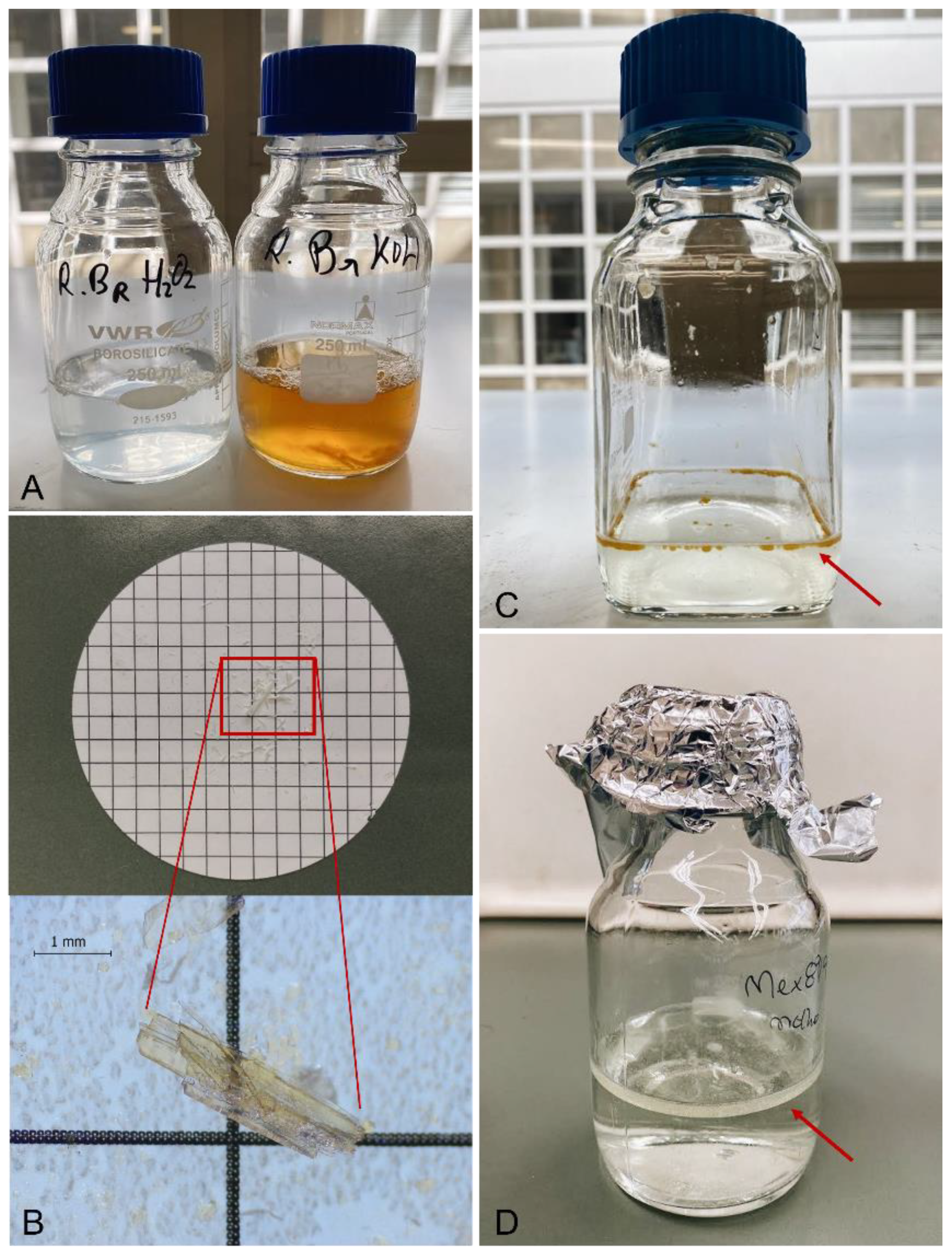 Molecules 27 05172 g004