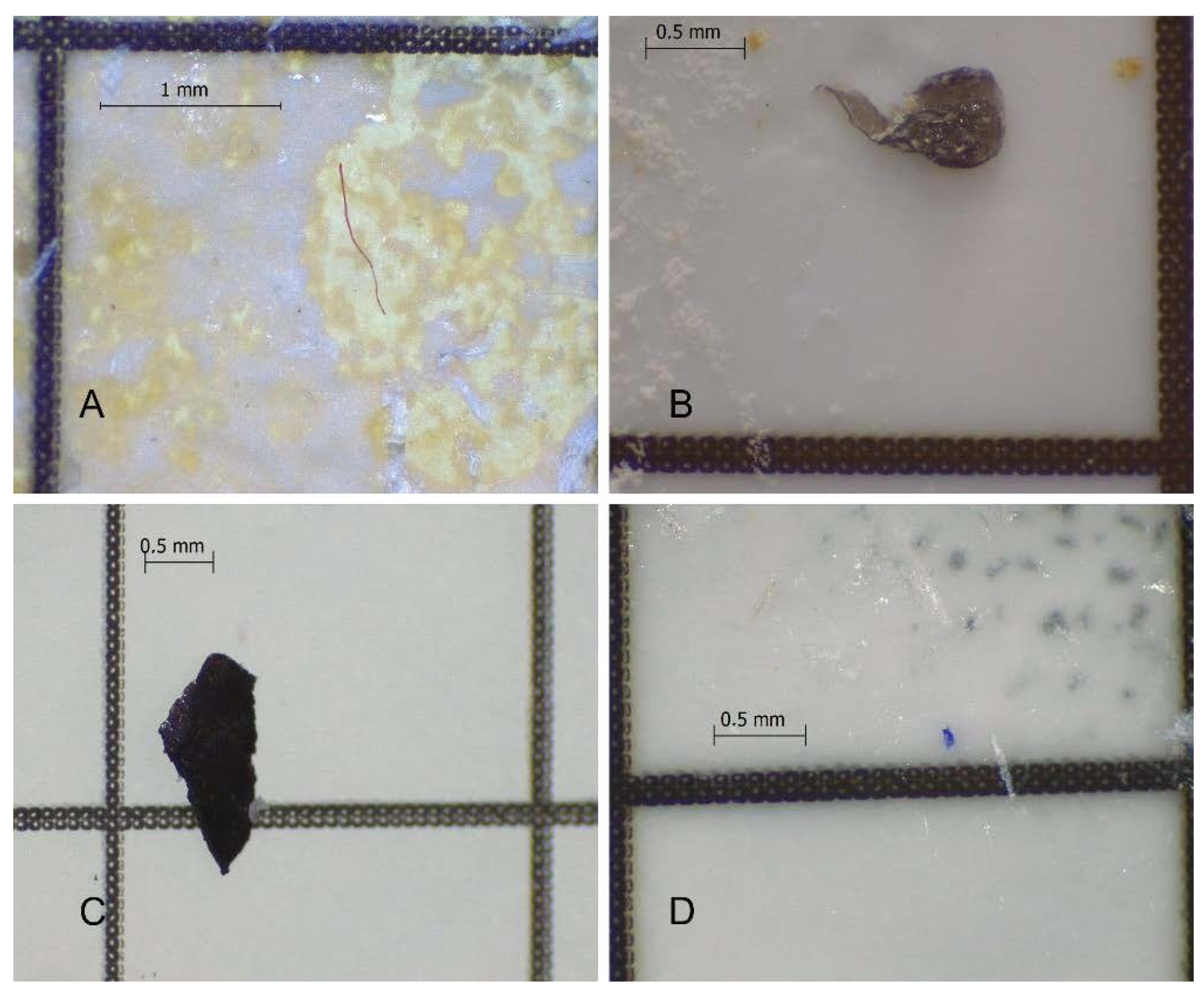 Molecules 27 05172 g005
