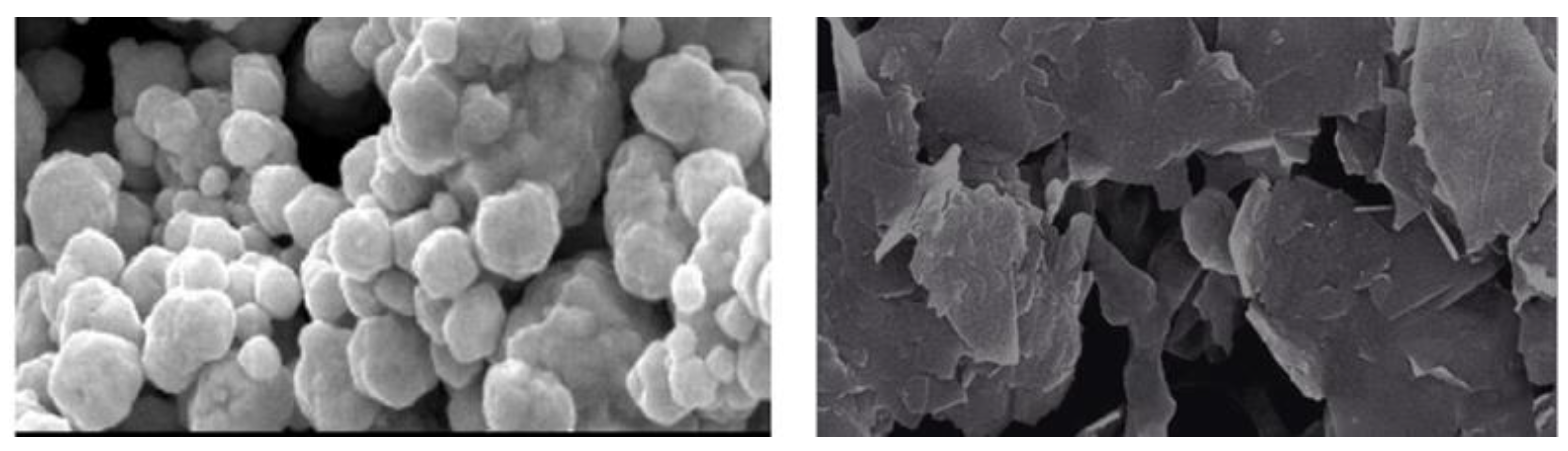 Molecules 27 05184 g005