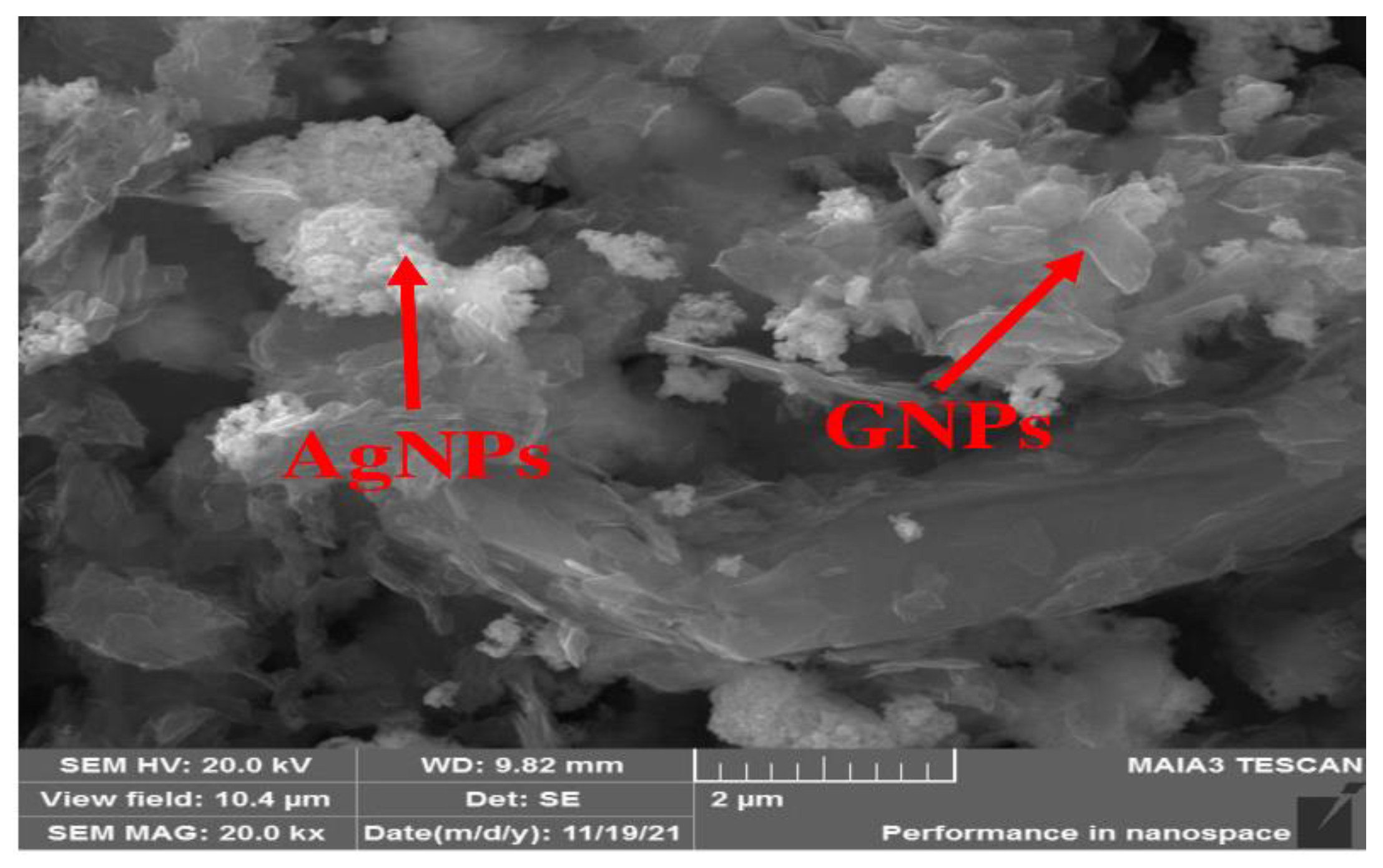 Molecules 27 05184 g006