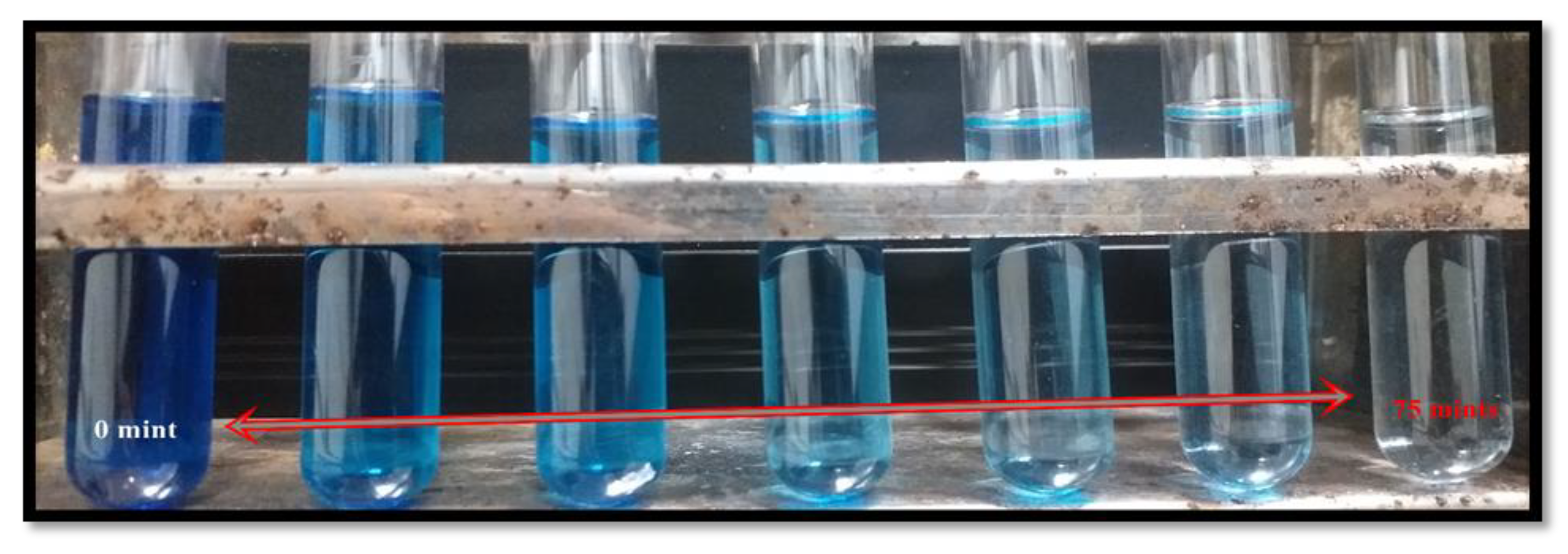 Molecules 27 05184 g011