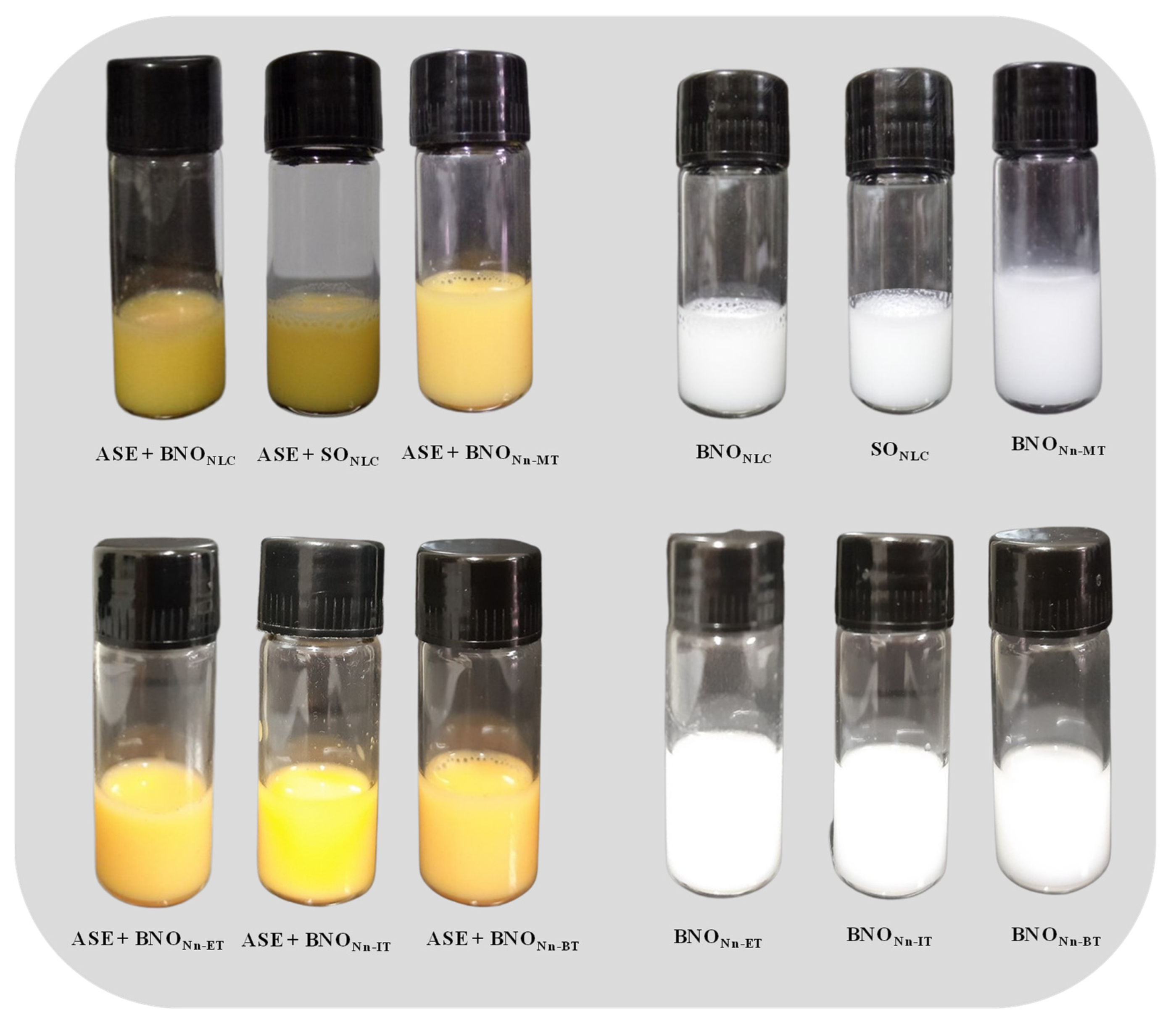 Molecules 27 05187 g002