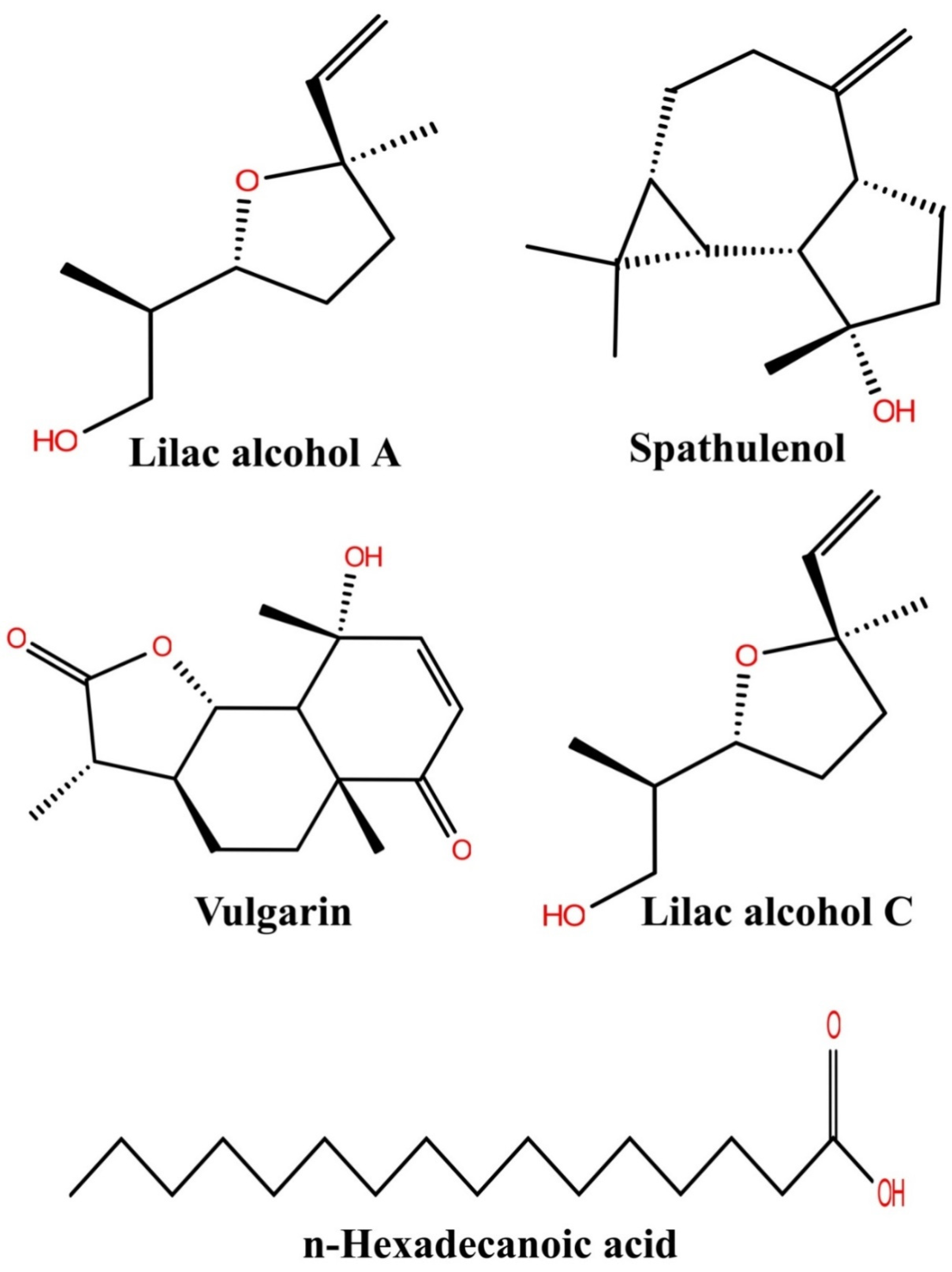 Molecules 27 05188 g004