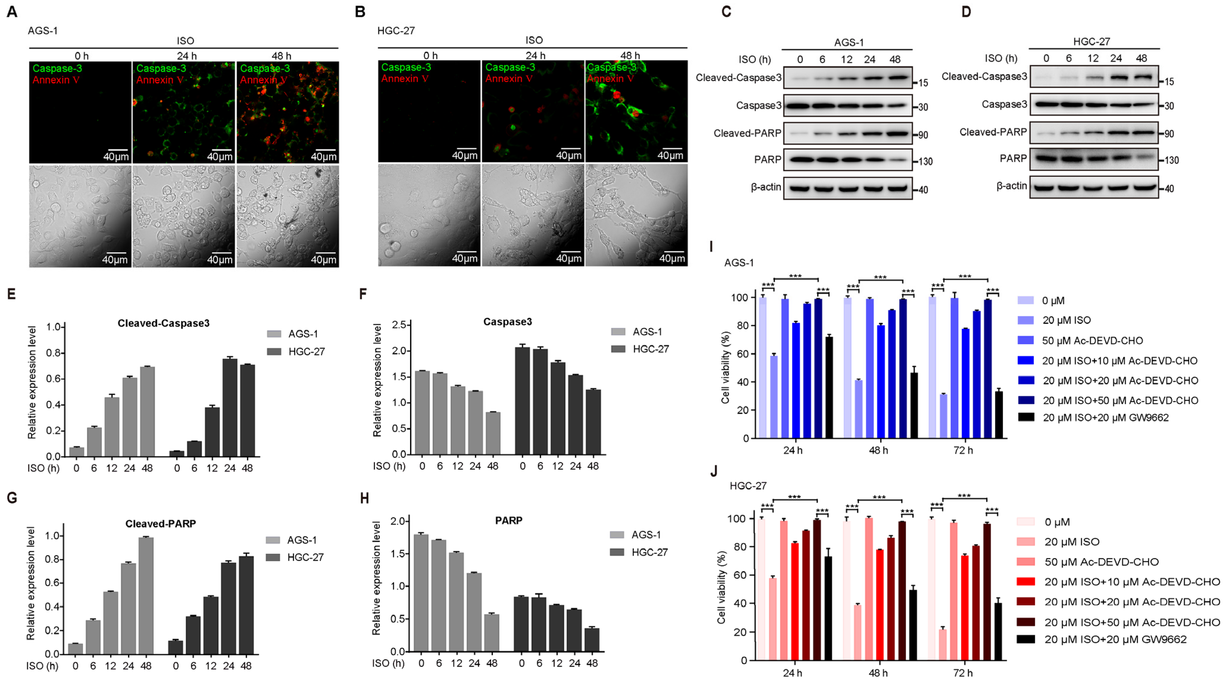 Molecules 27 05191 g002 550