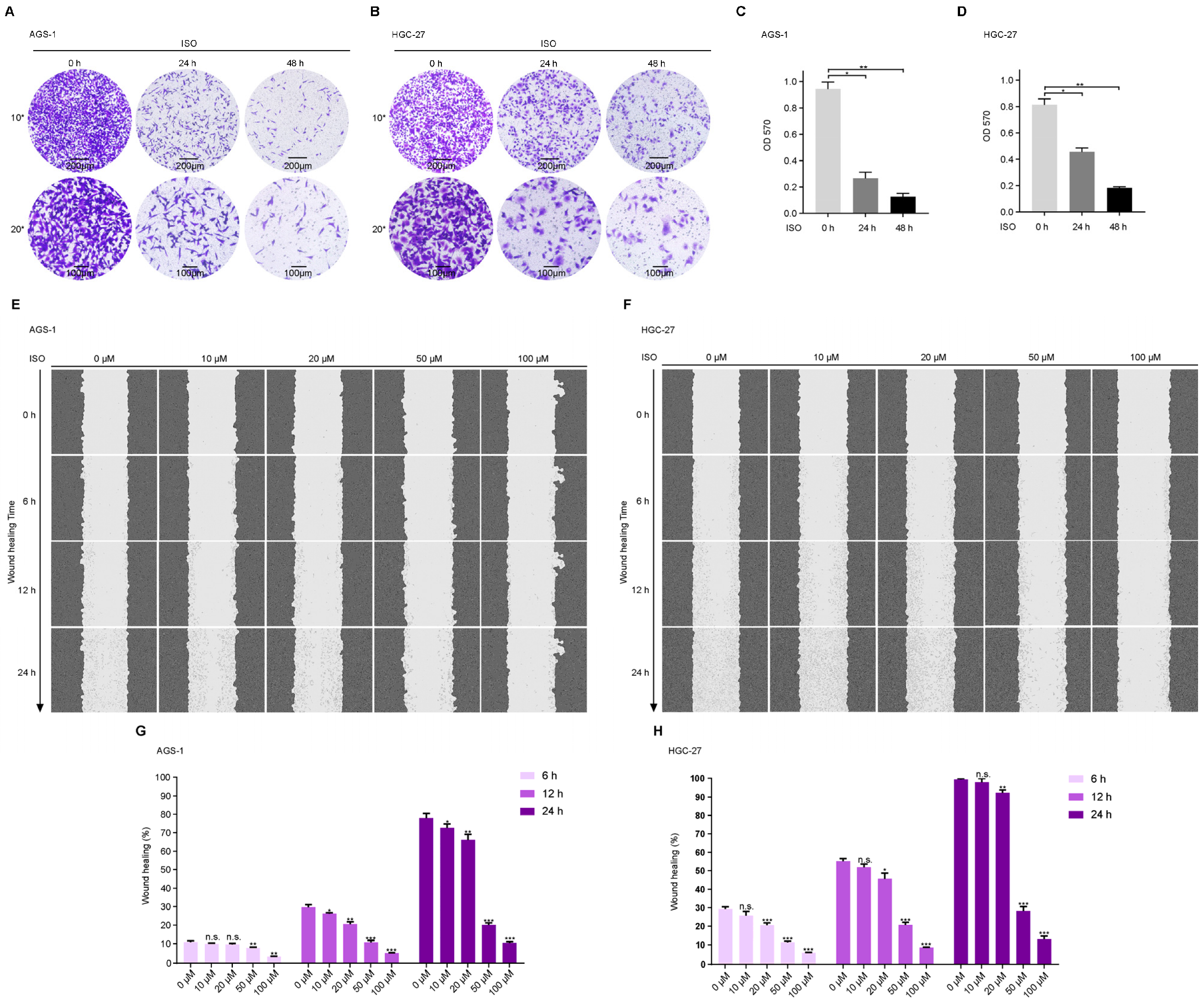 Molecules 27 05191 g006 550