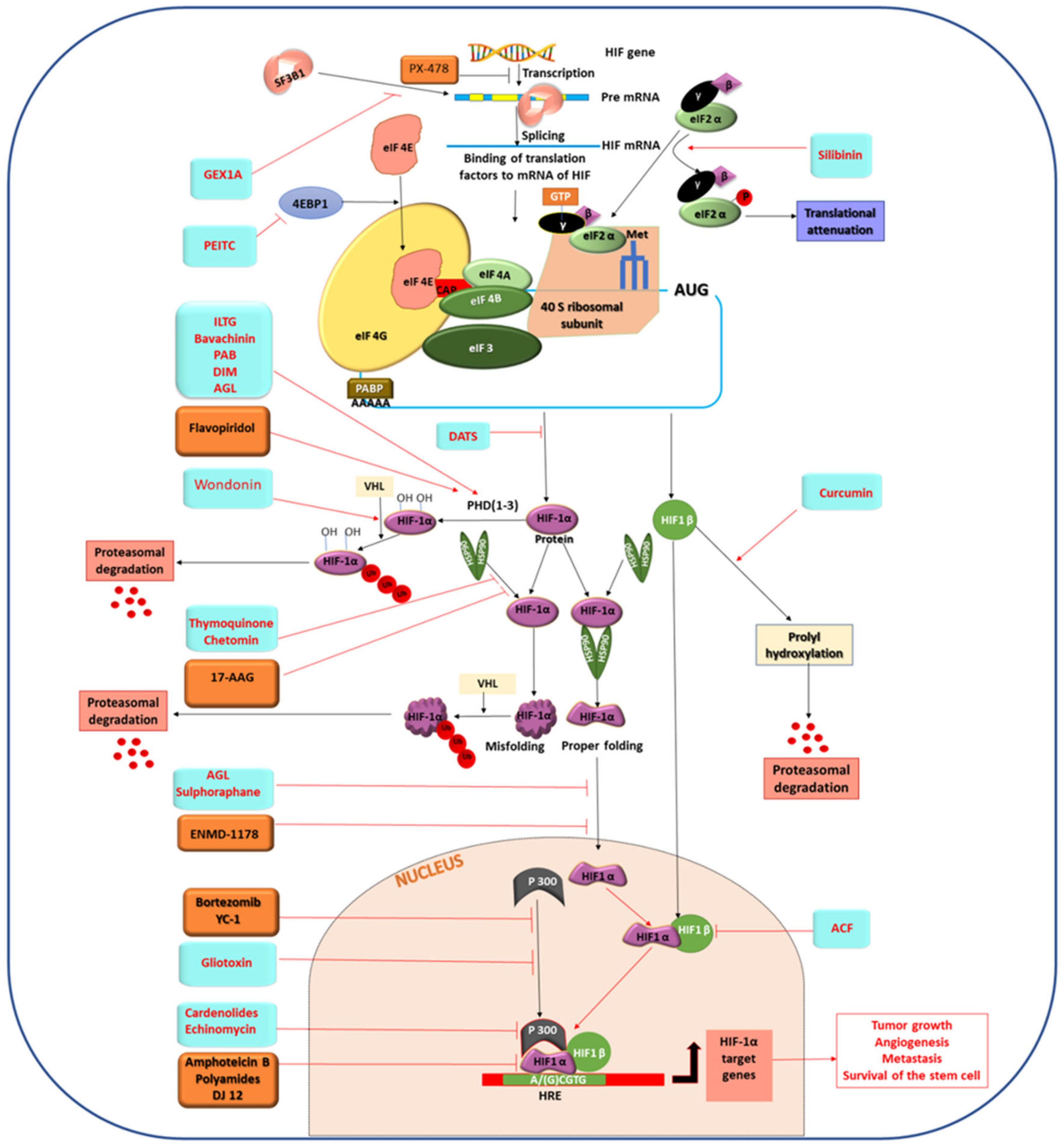 Molecules 27 05192 g003 Molecules 27 05192 g003