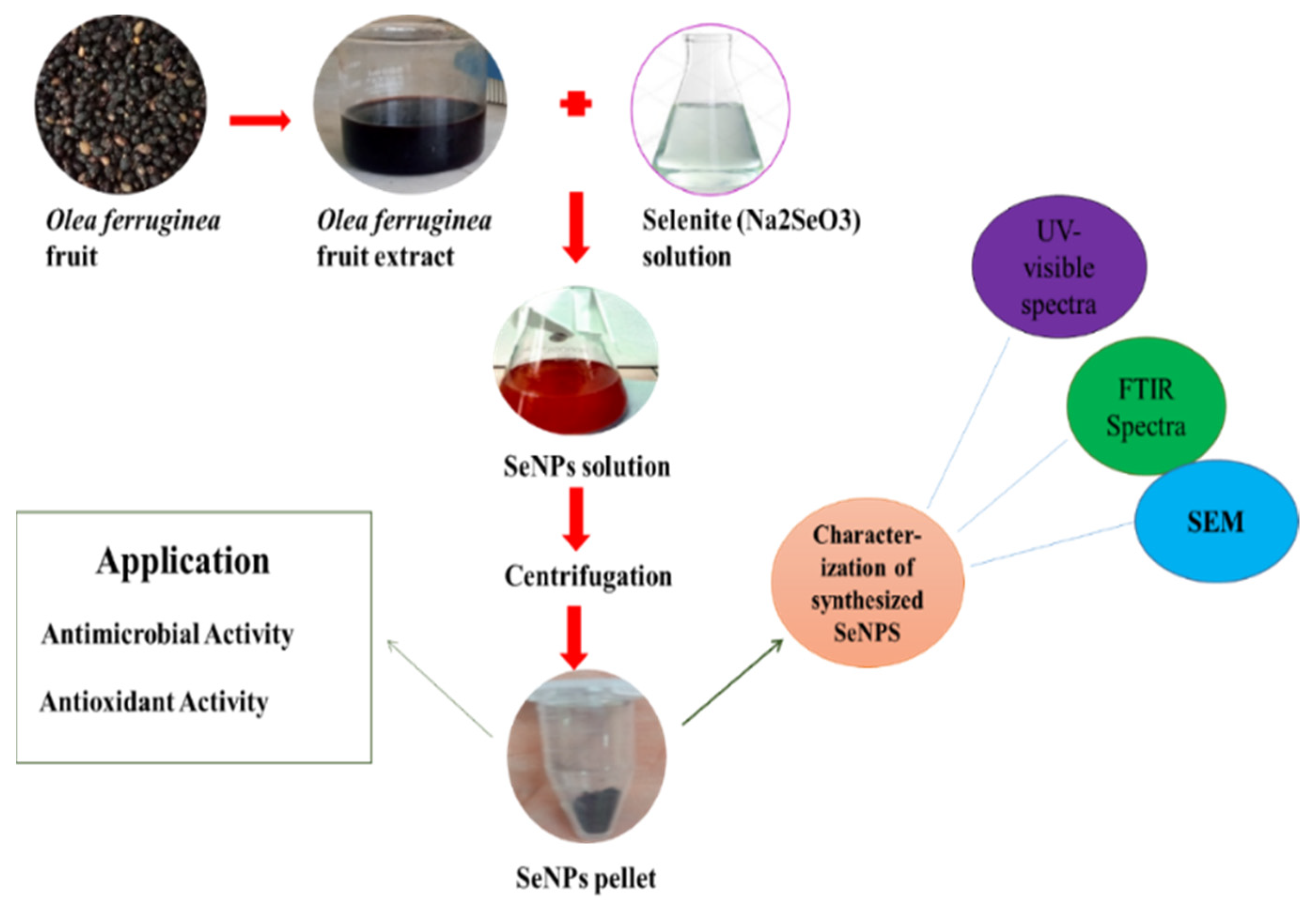 Molecules 27 05194 g006