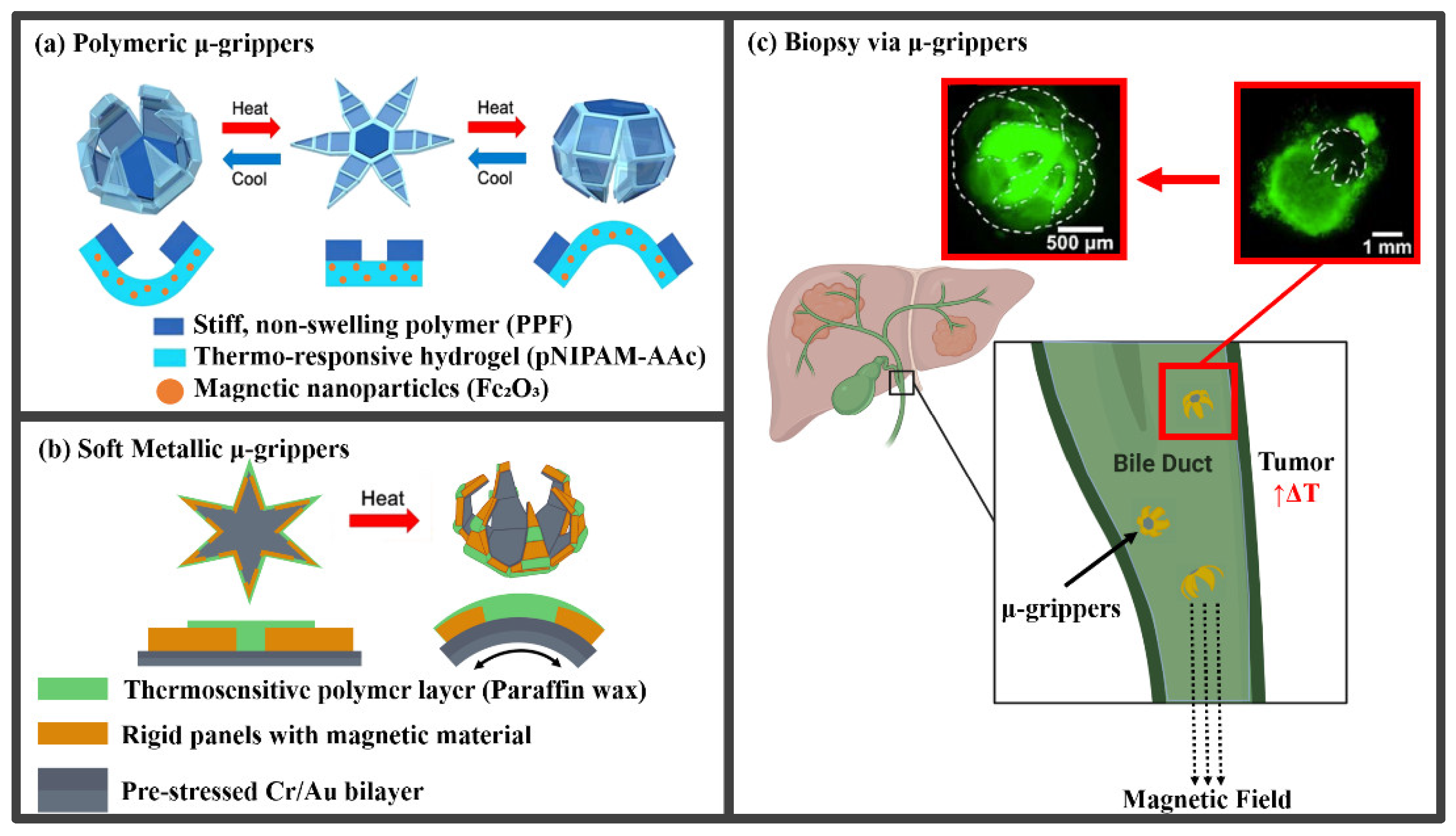 Molecules 27 05196 g001 550