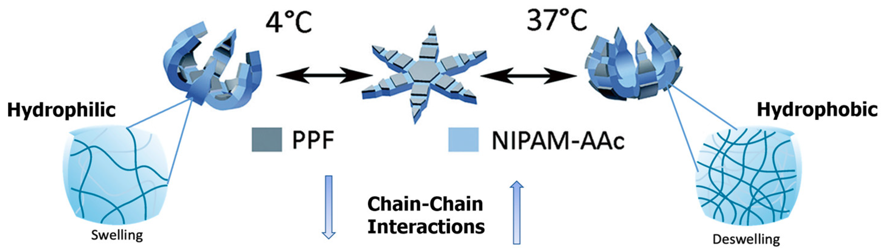 Molecules 27 05196 g003 550