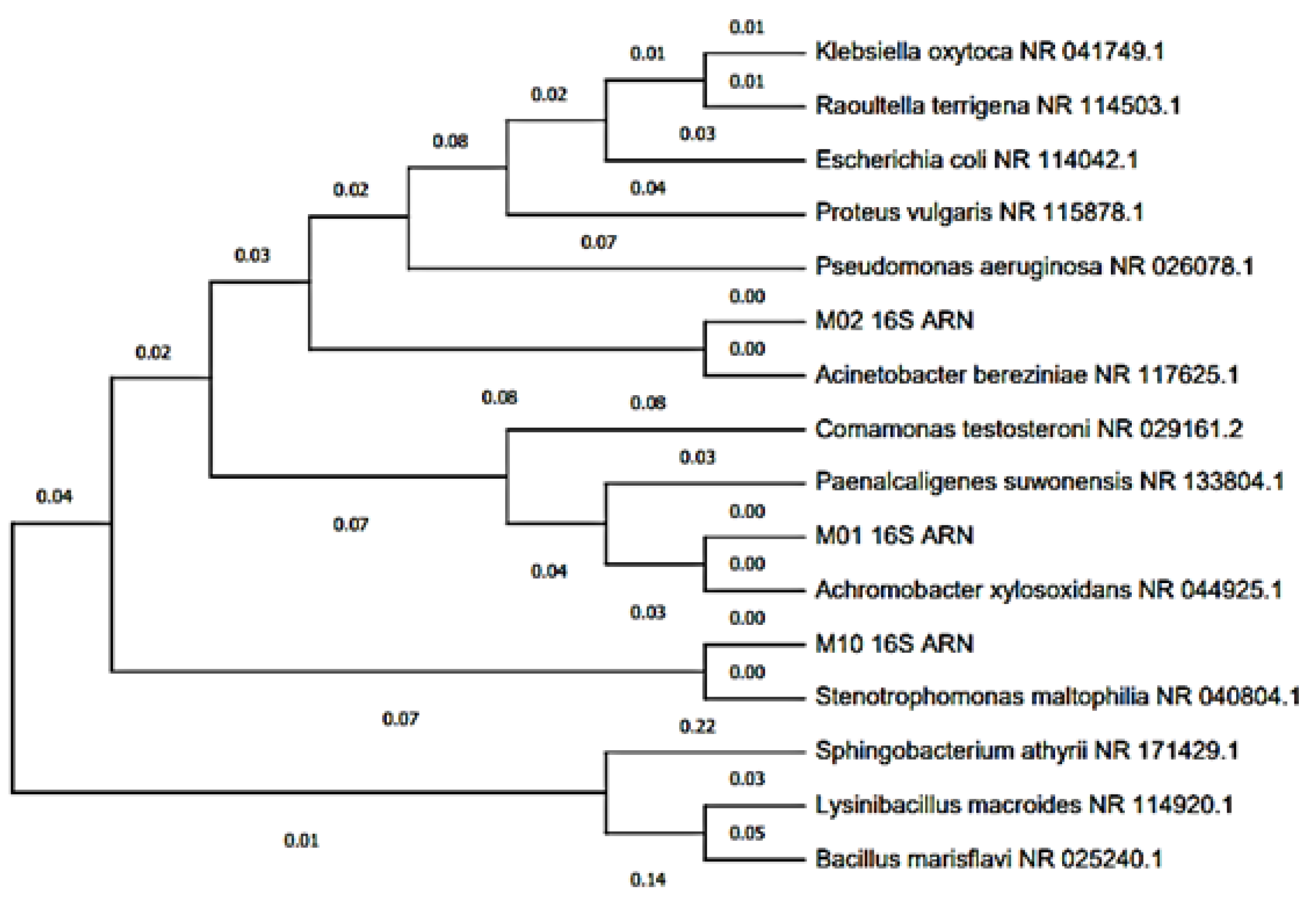 Molecules 27 05198 g005 550