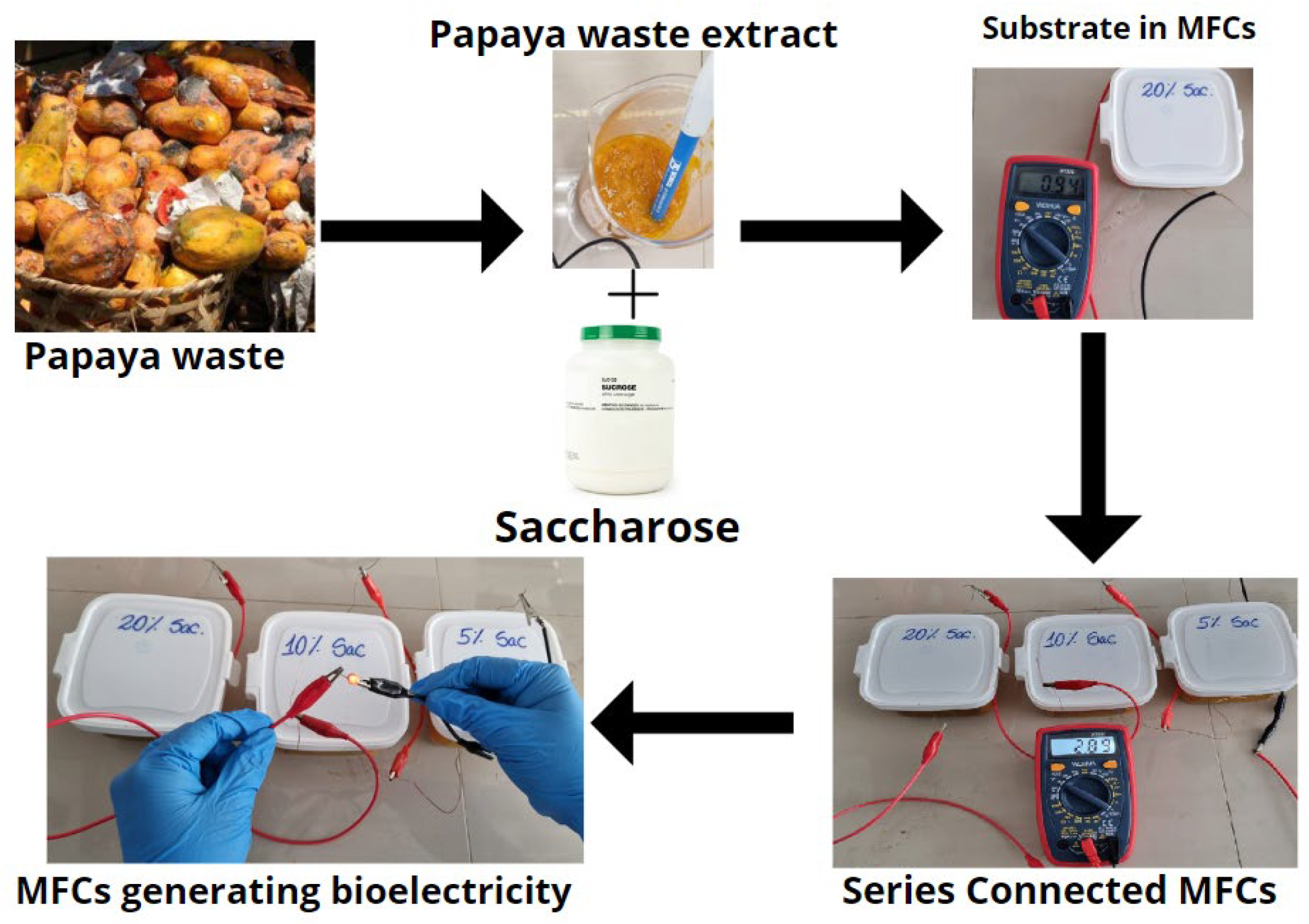 Molecules 27 05198 g006 550