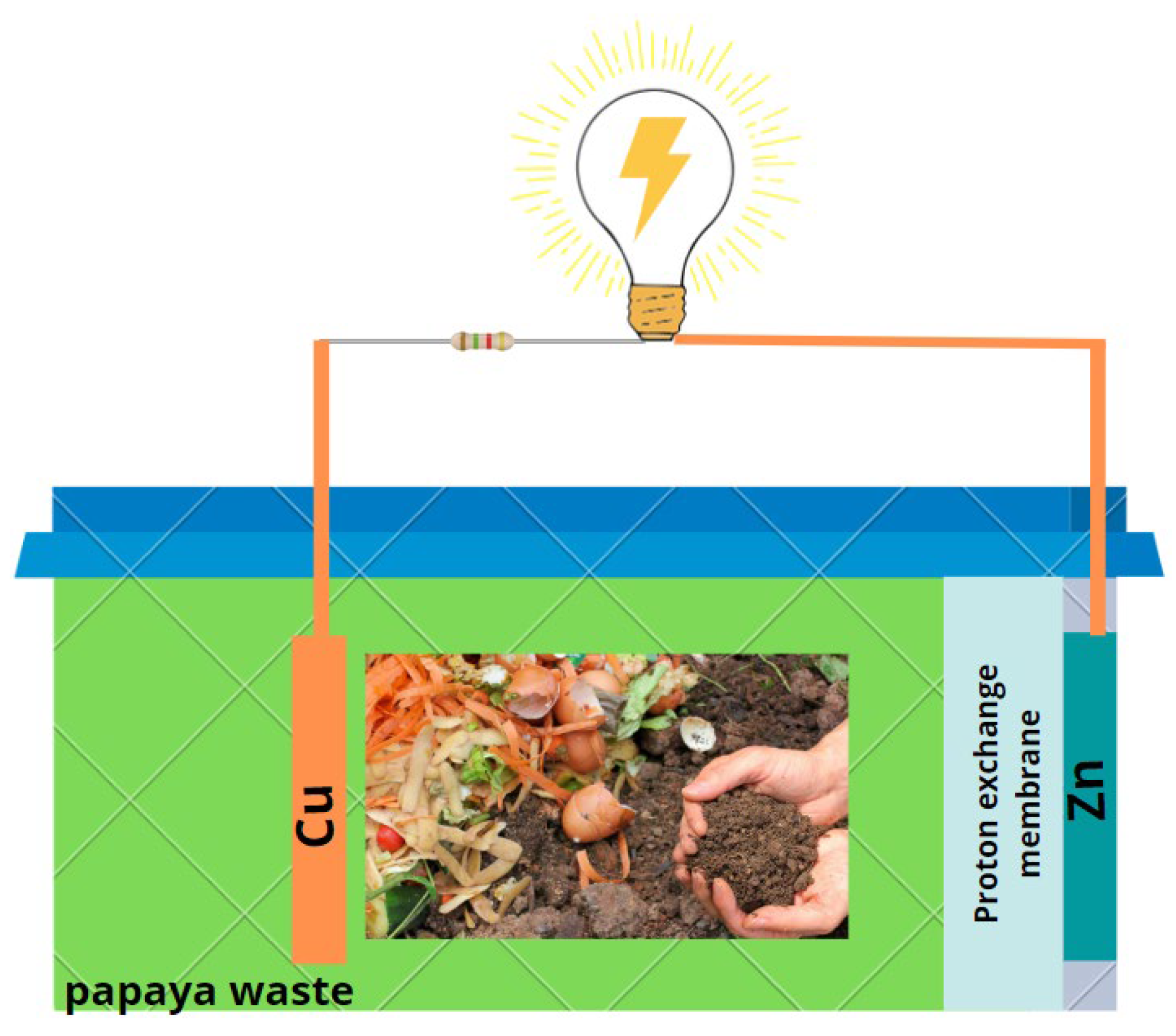 Molecules 27 05198 g007 550