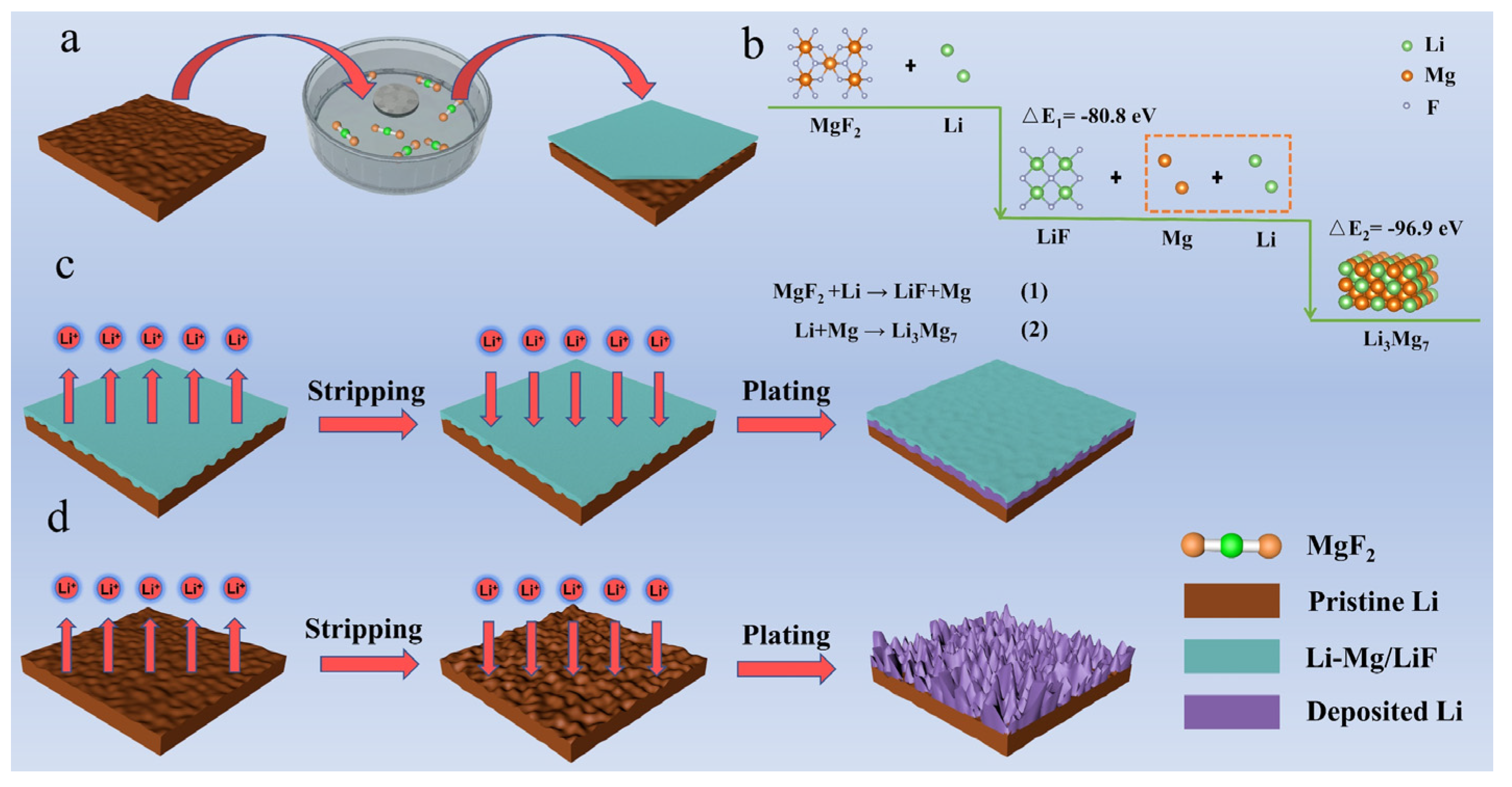 Molecules 27 05199 g001
