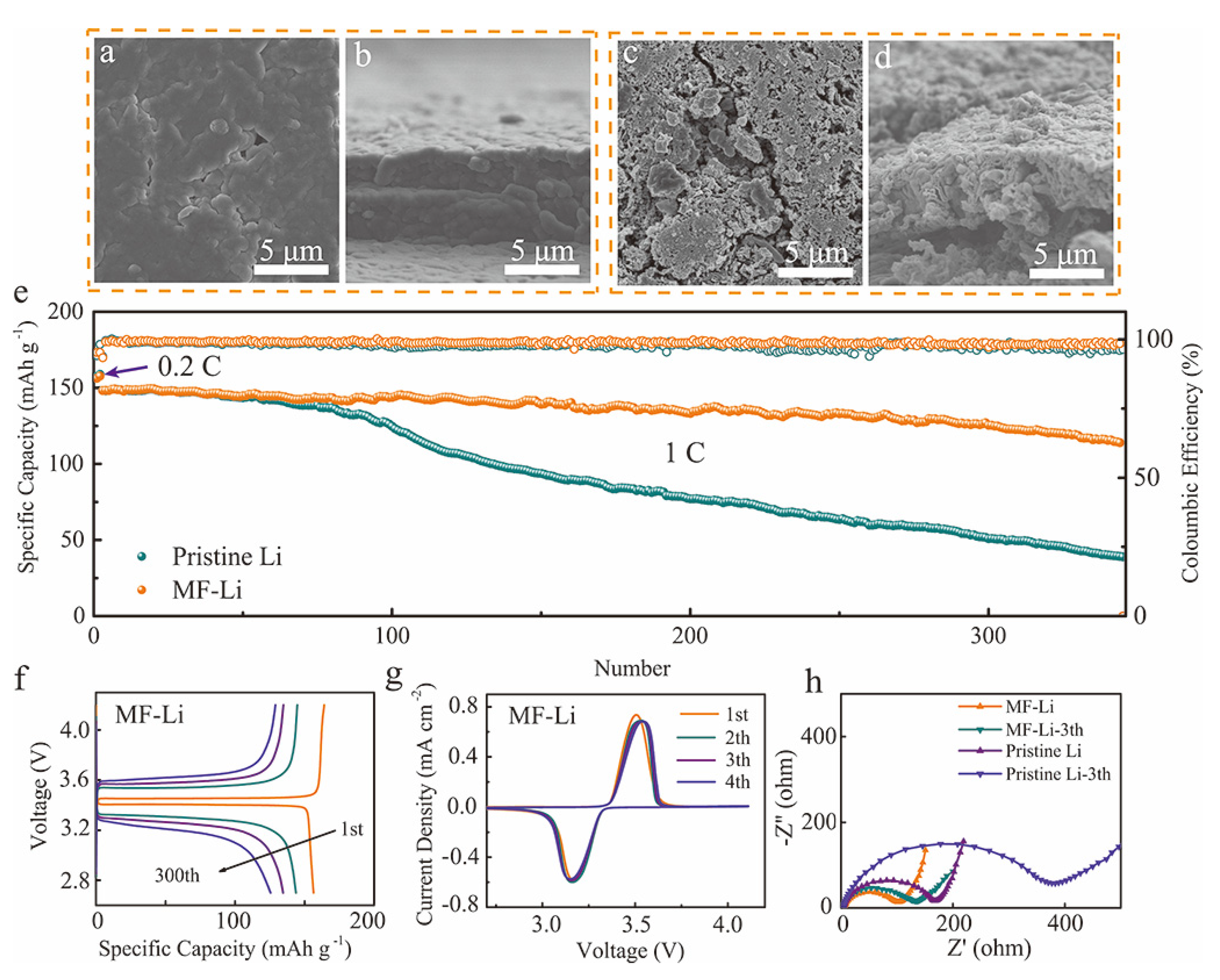 Molecules 27 05199 g005