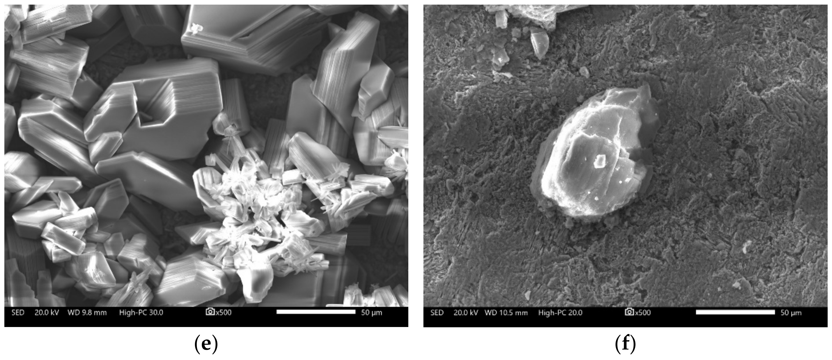 Molecules 27 05209 g010b