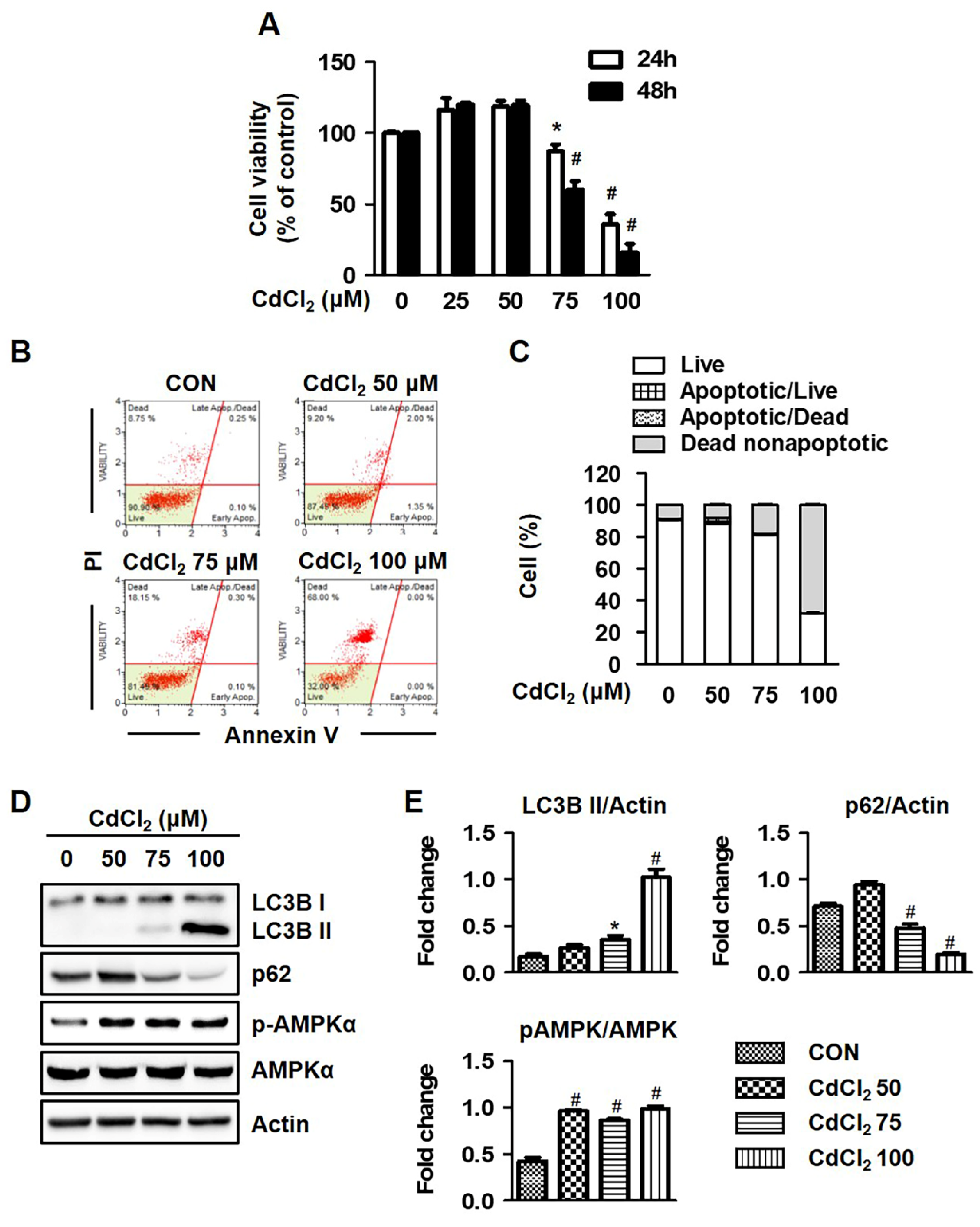 Molecules 27 05215 g001 550