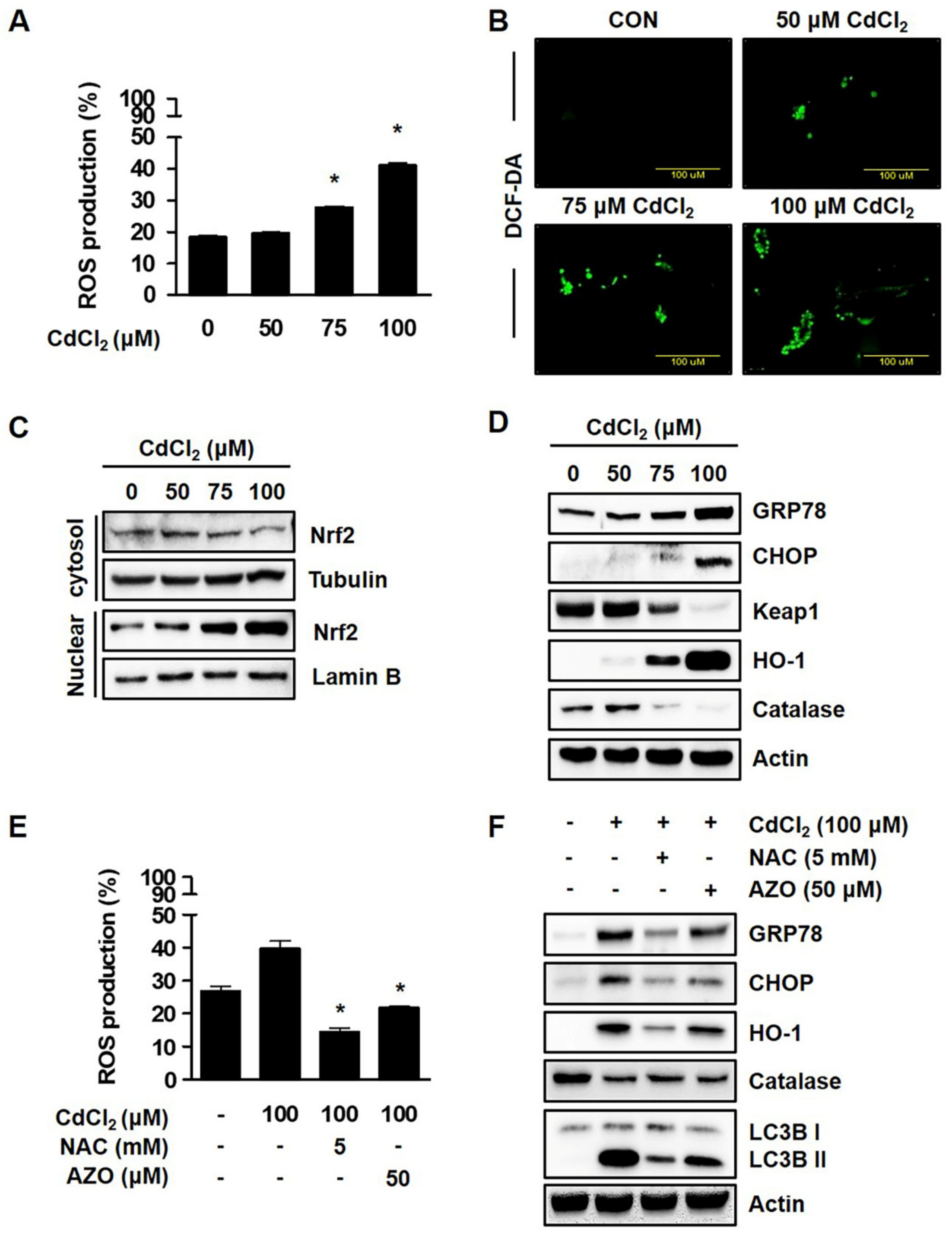 Molecules 27 05215 g002 550