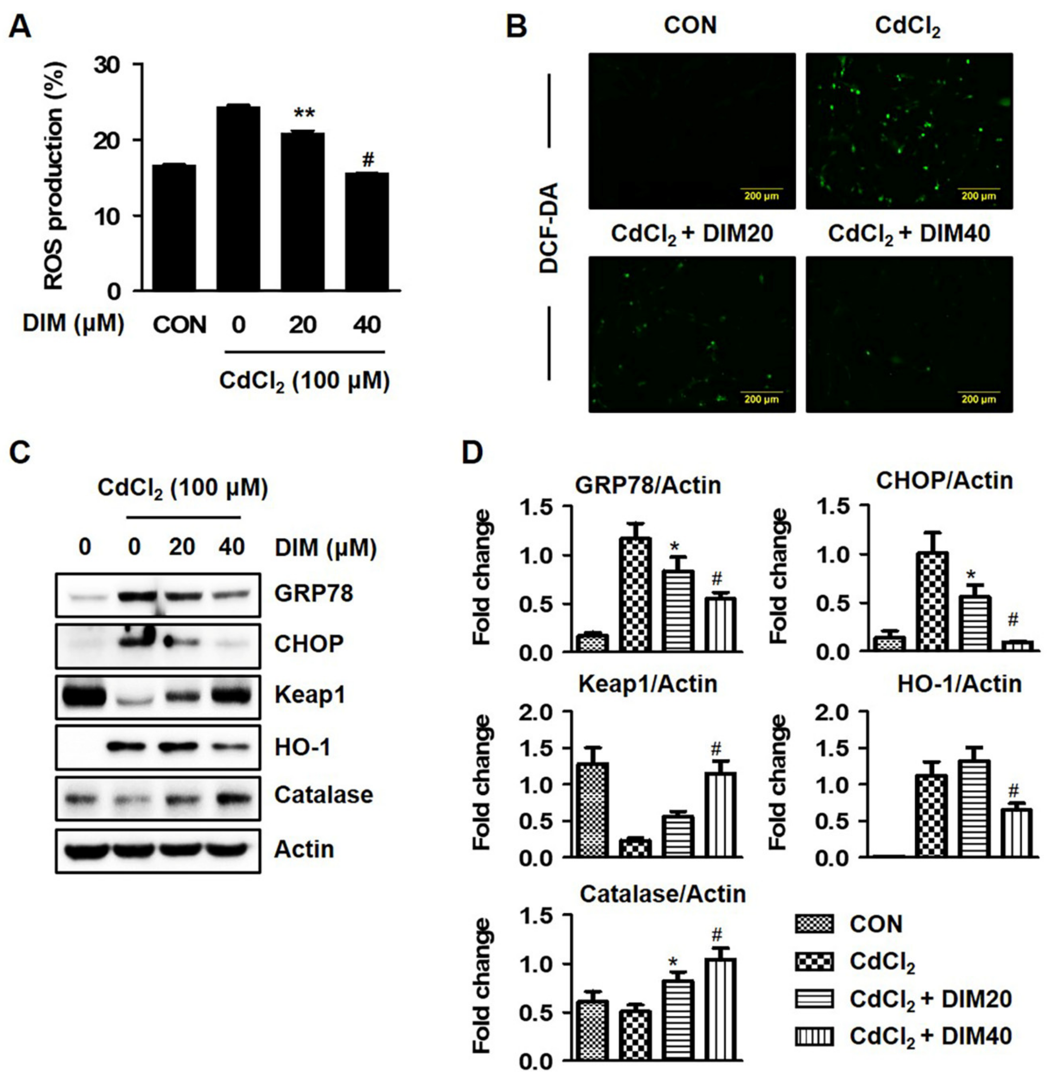 Molecules 27 05215 g004 550