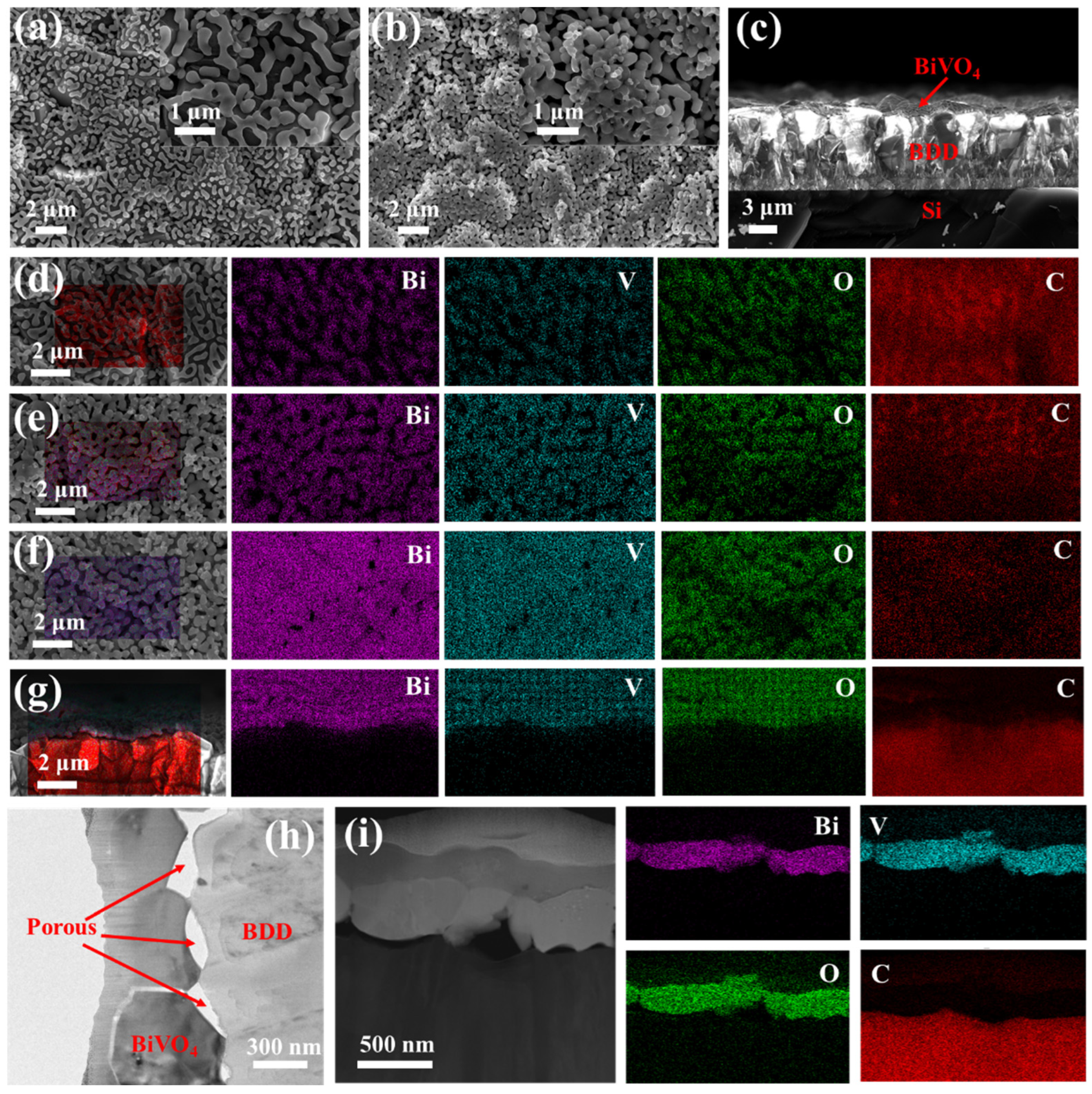 Molecules 27 05218 g001