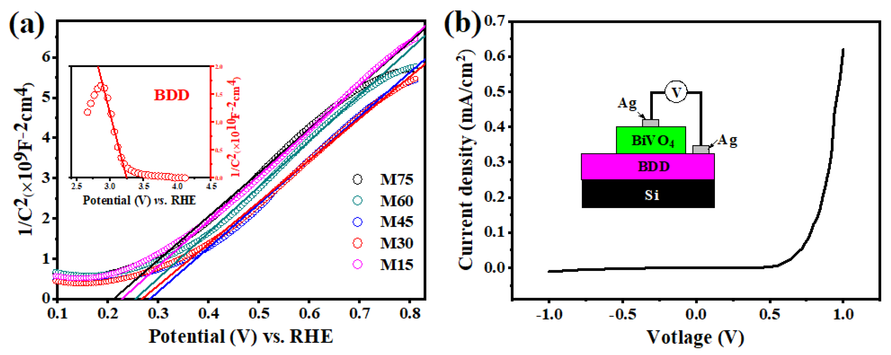 Molecules 27 05218 g004