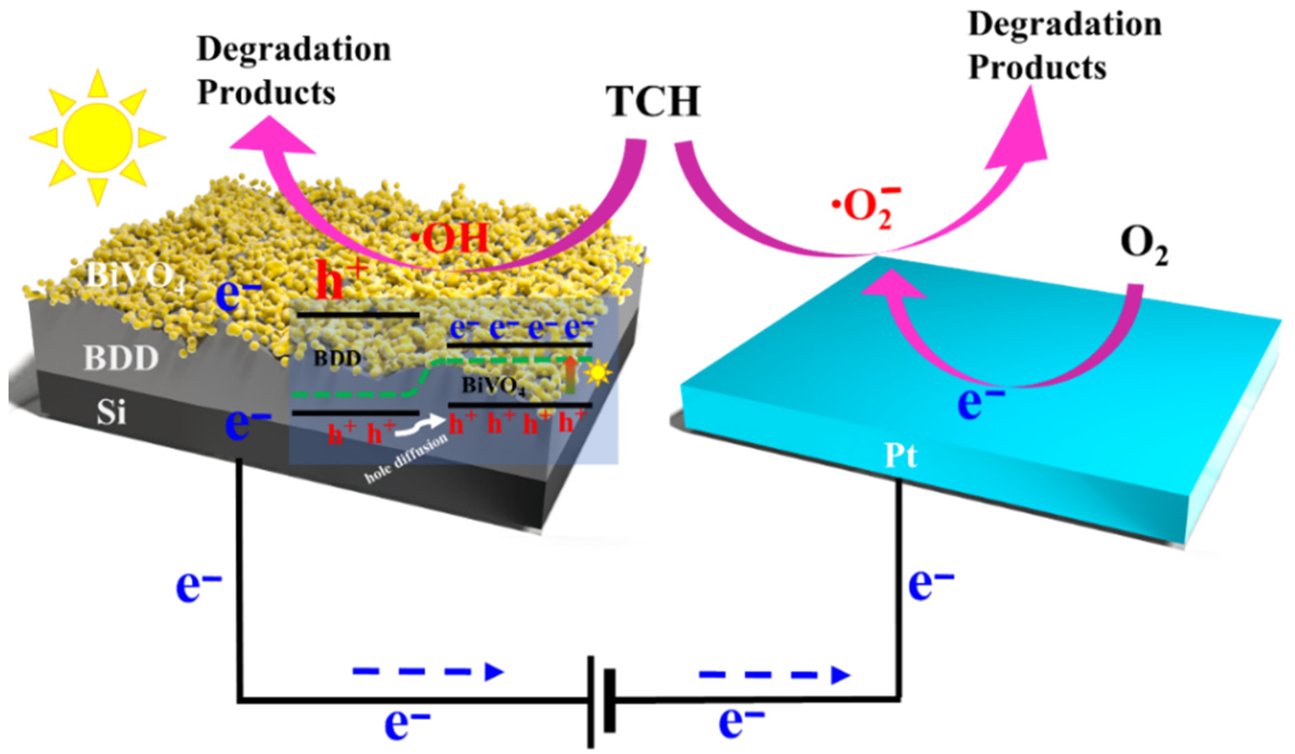 Molecules 27 05218 g007