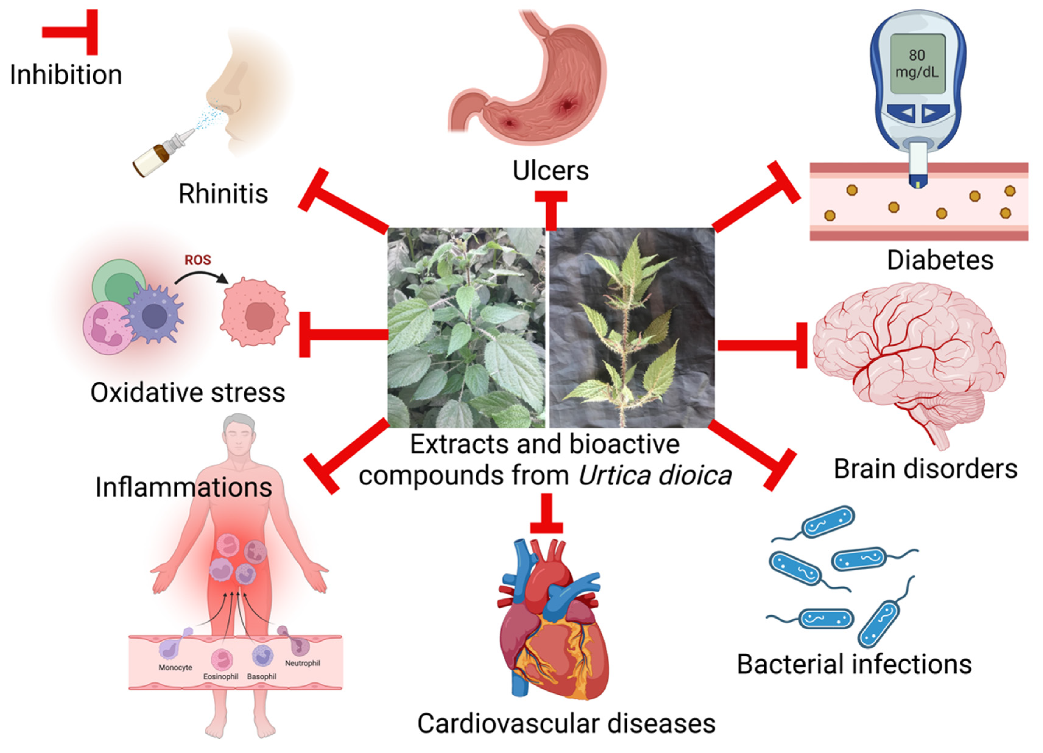 Molecules 27 05219 g003 550
