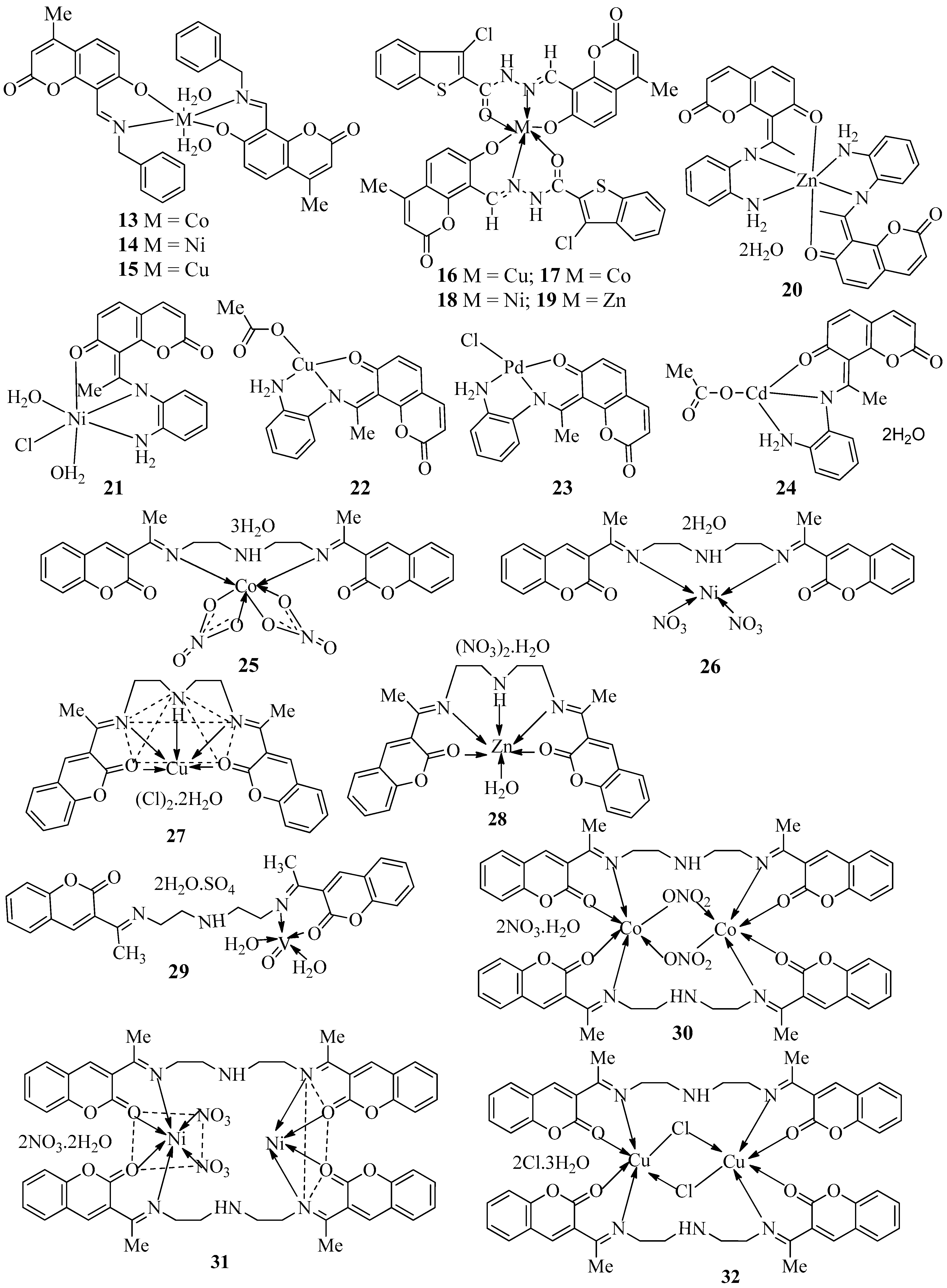 Molecules 27 05220 g004b
