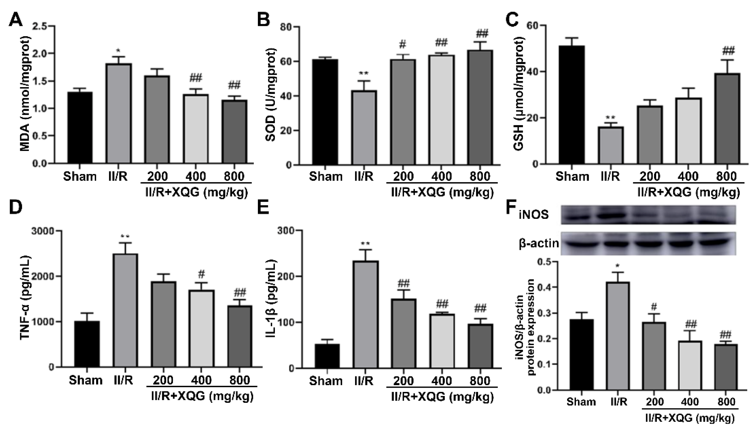 Molecules 27 05227 g004