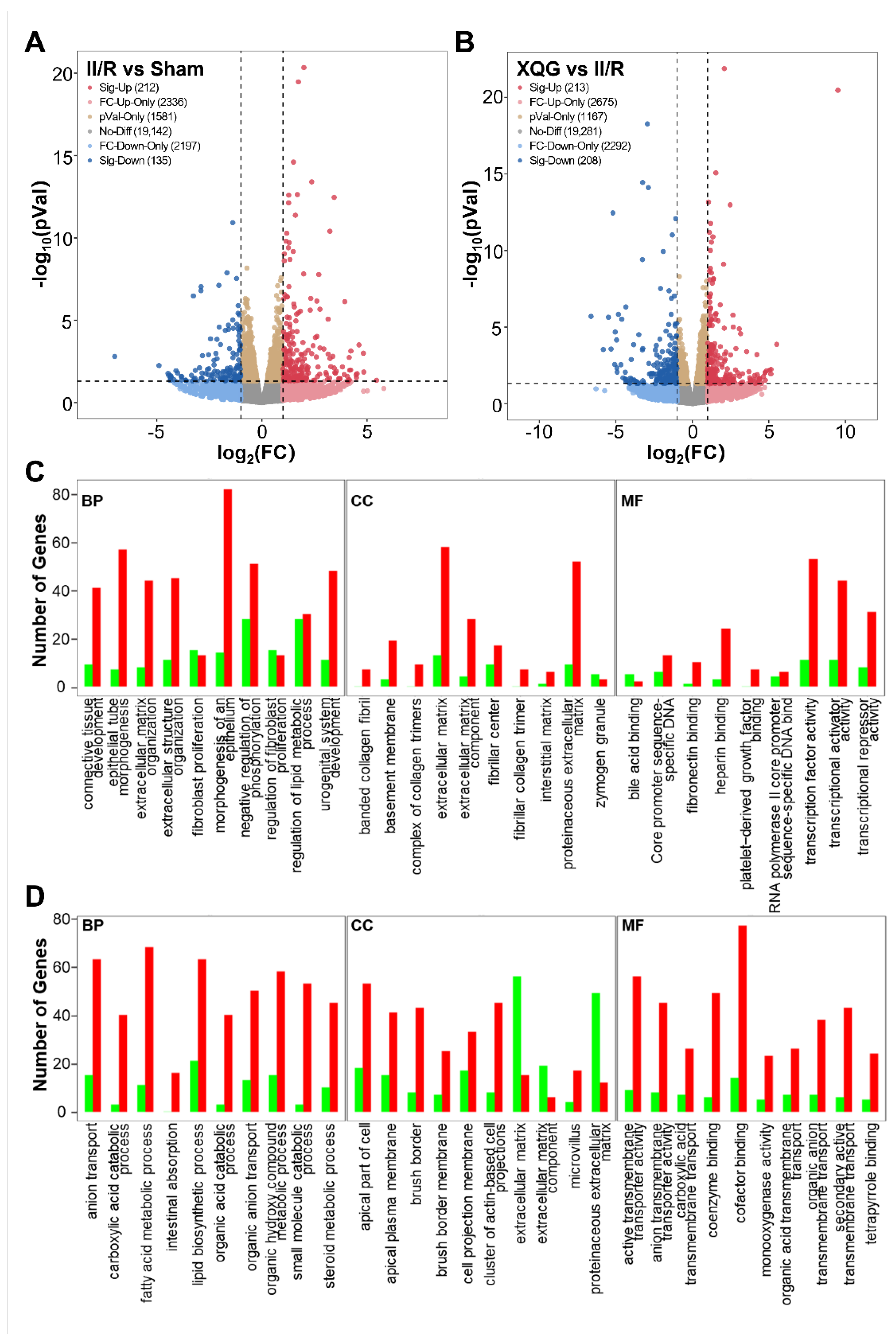 Molecules 27 05227 g006