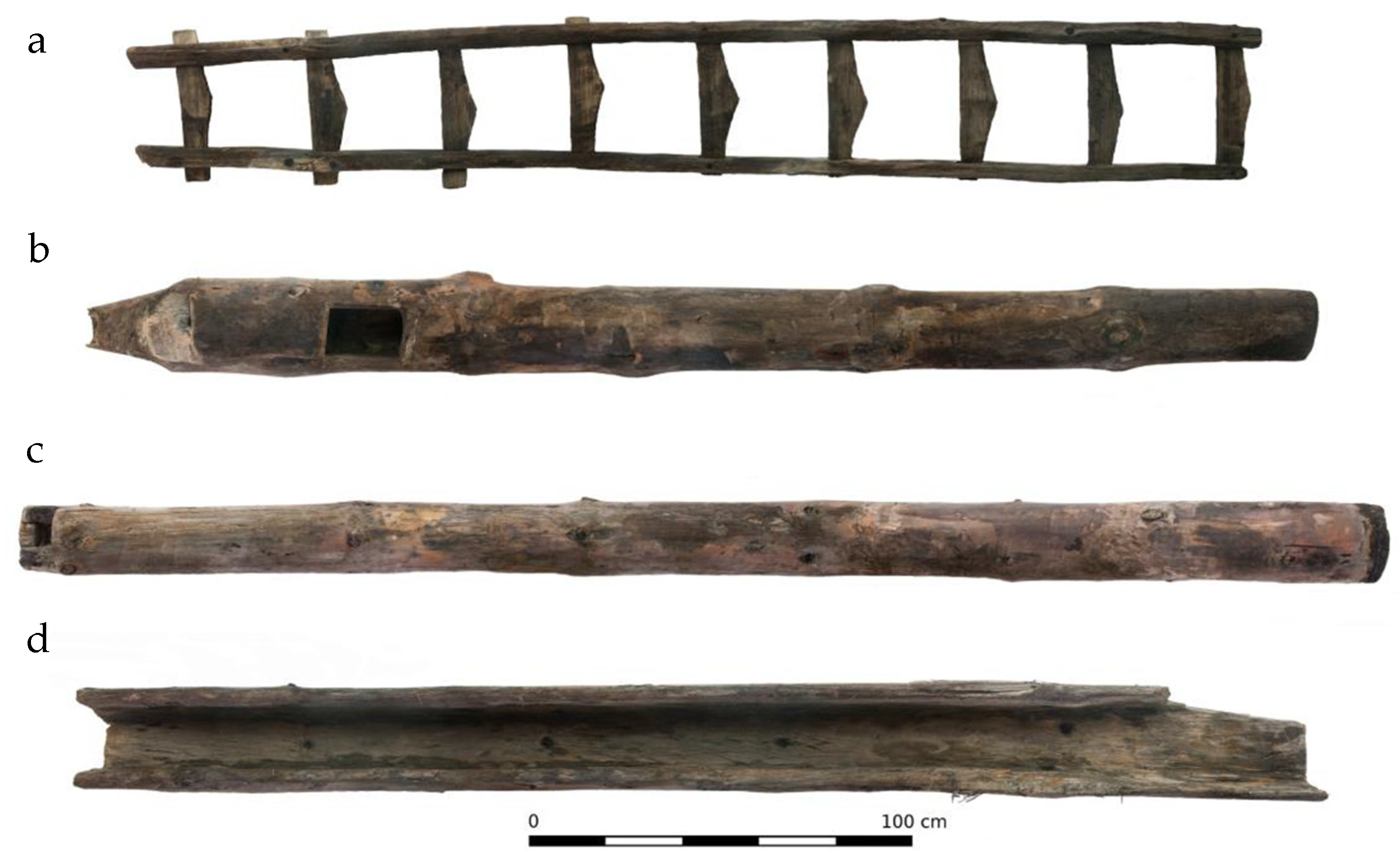 Molecules 27 05228 g008