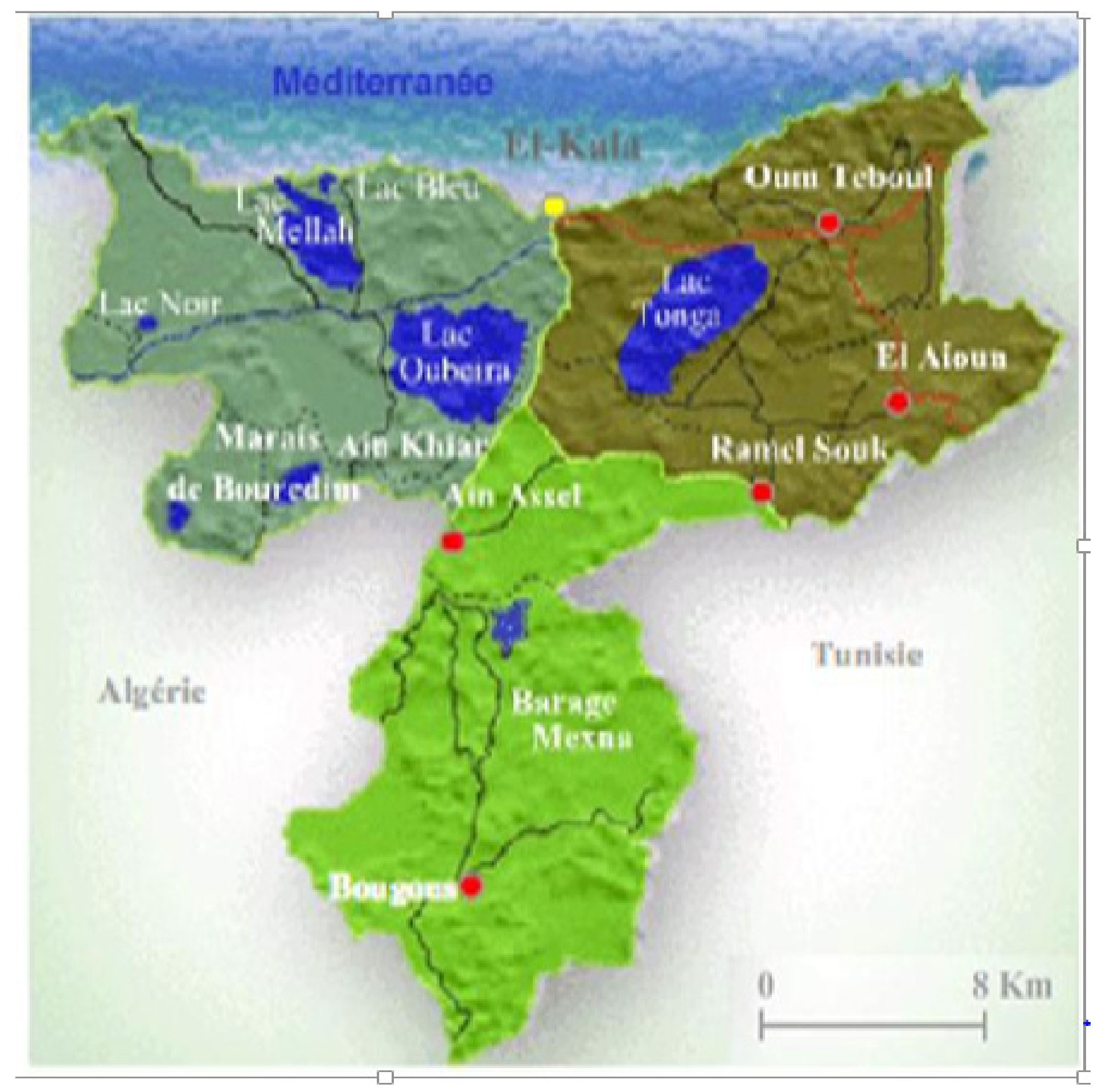 Molecules 27 05229 g014