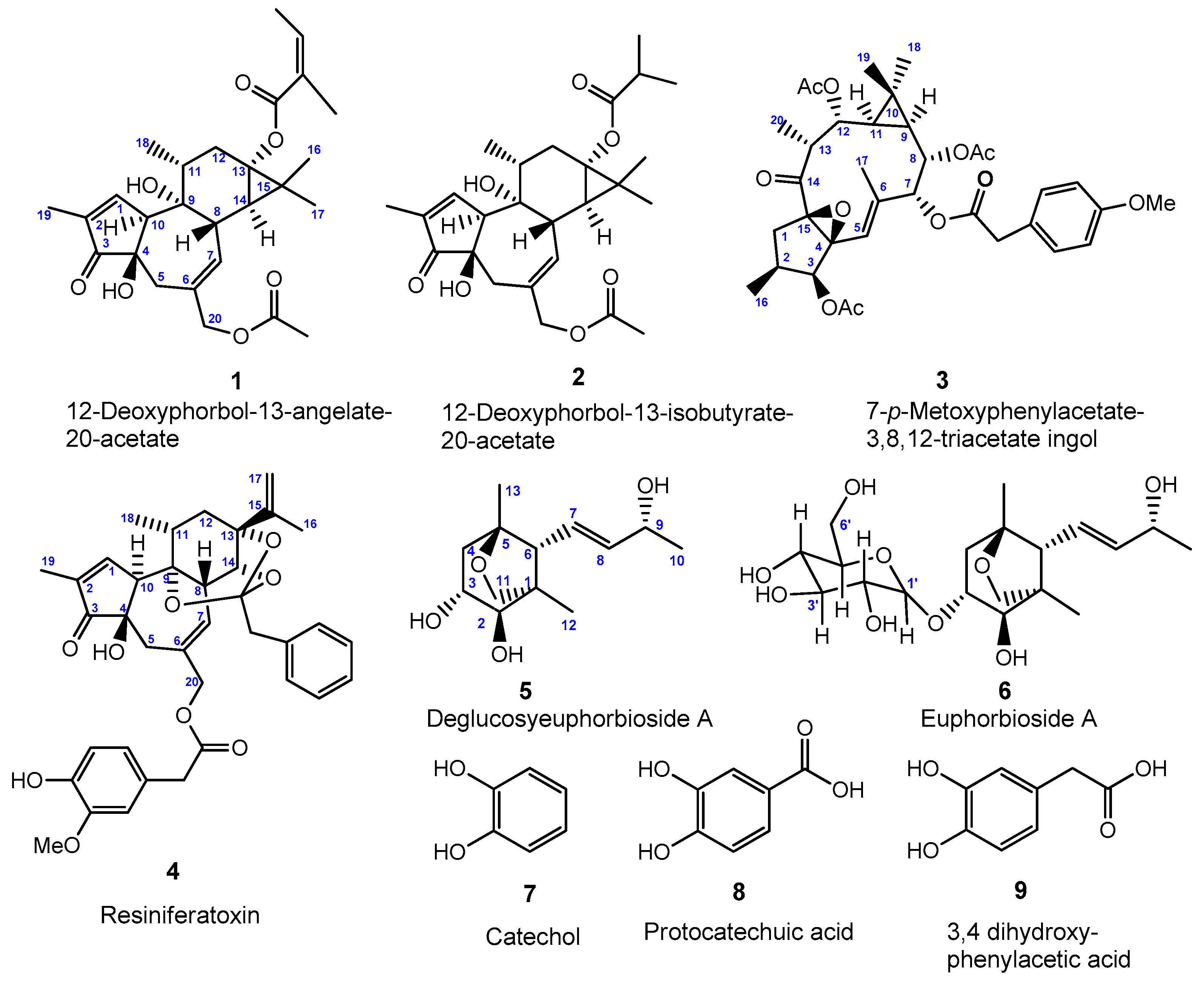 Molecules 27 05234 g001 Molecules 27 05234 g001