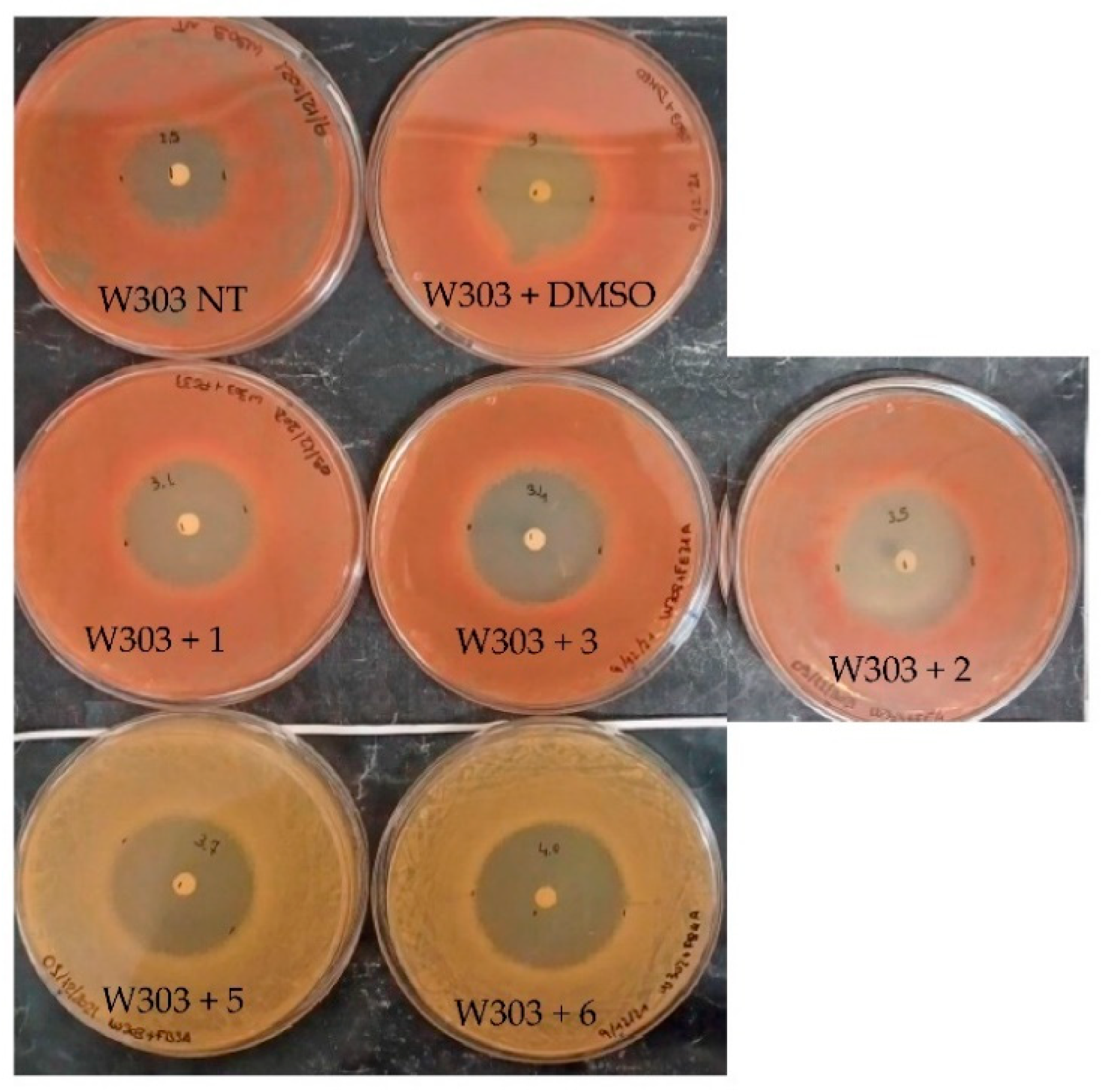 Molecules 27 05234 g003 Molecules 27 05234 g003