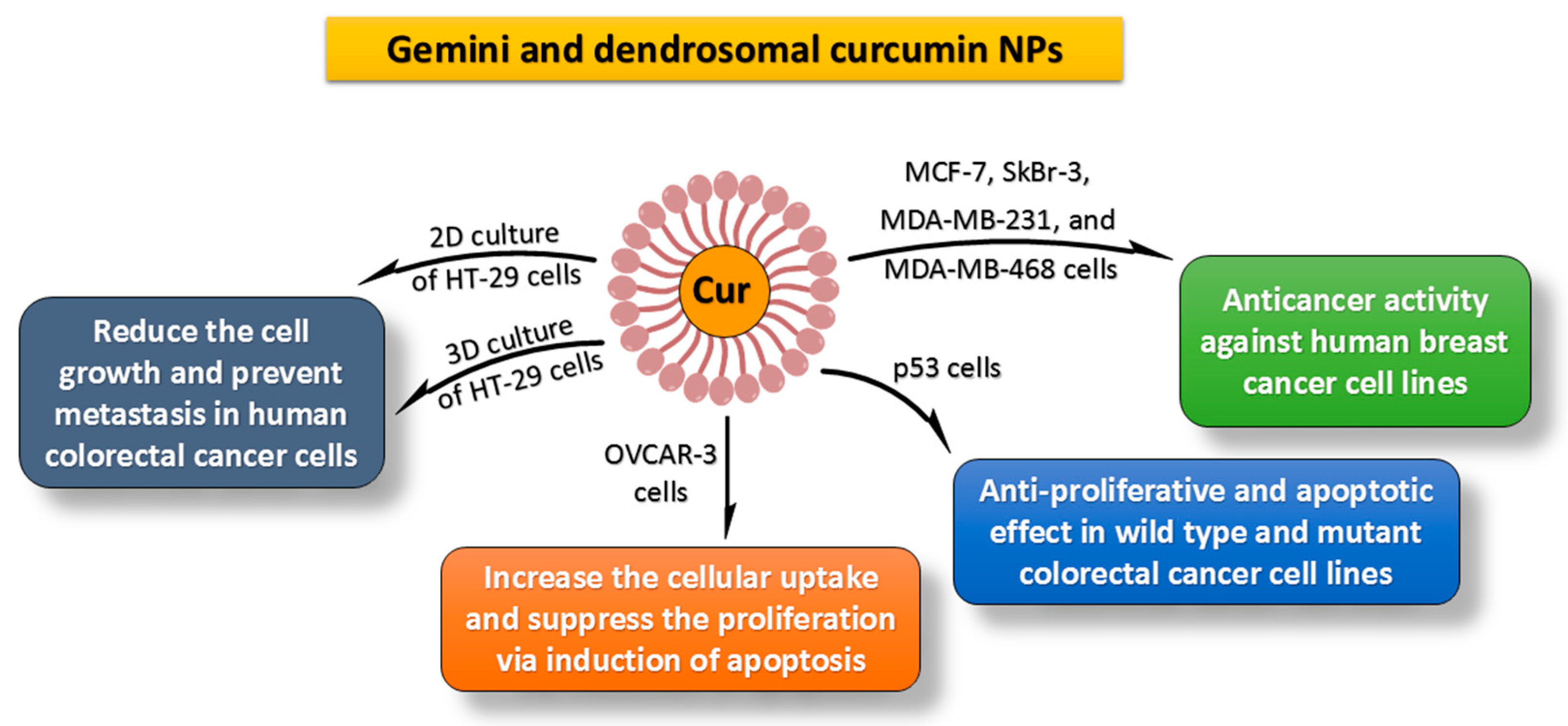 Molecules 27 05236 g004