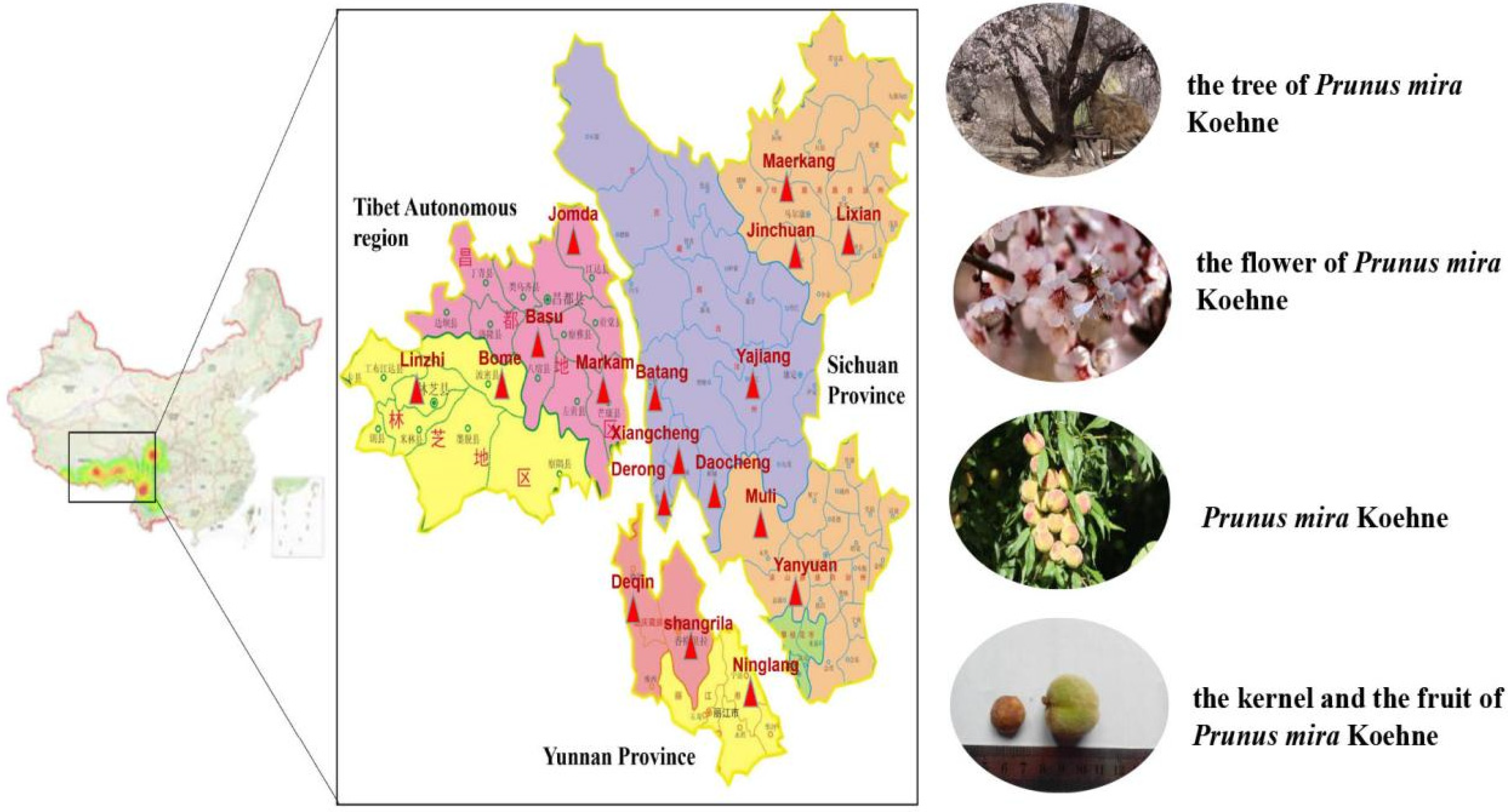 Molecules 27 05242 g001 Molecules 27 05242 g001