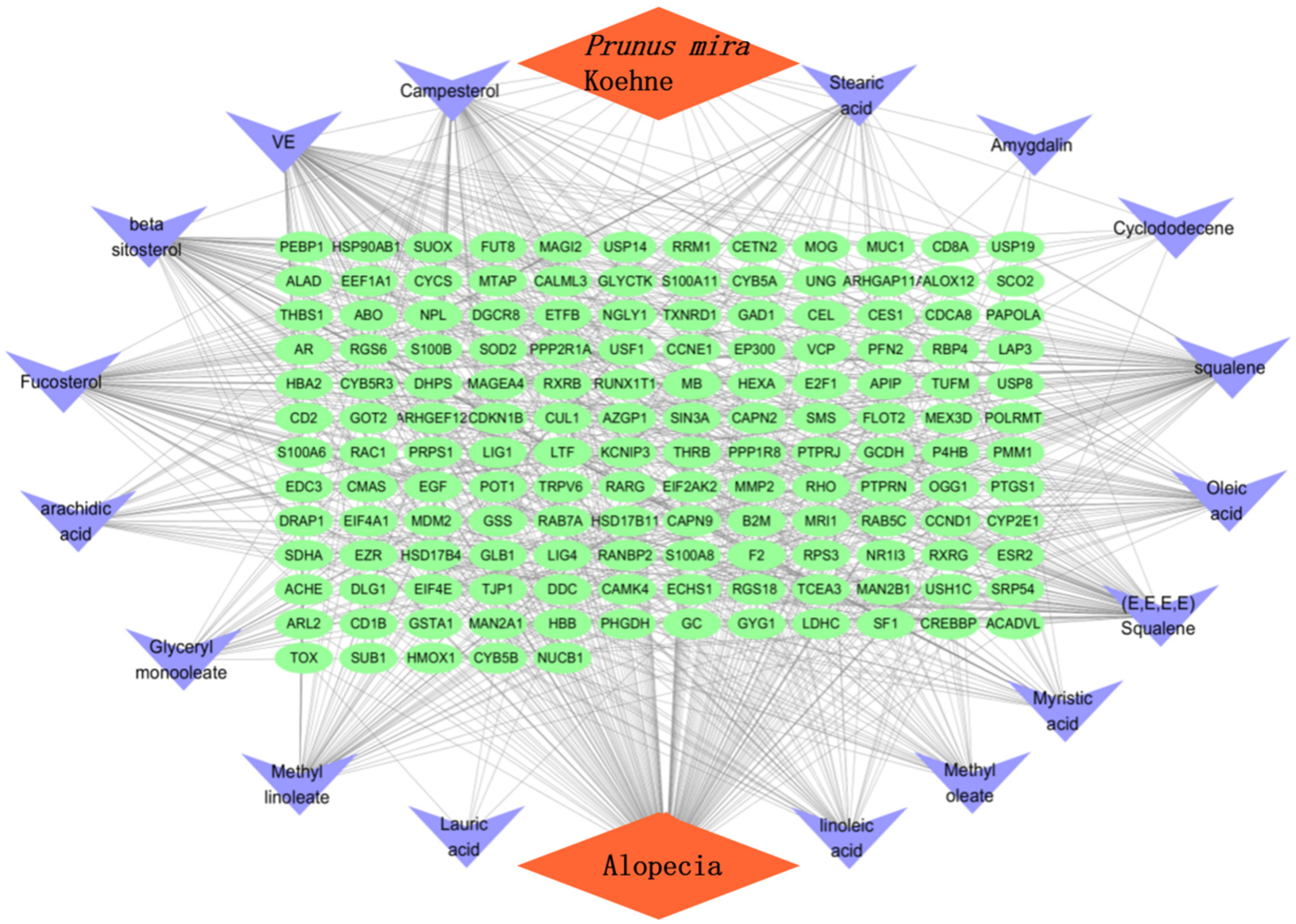 Molecules 27 05242 g004 Molecules 27 05242 g004