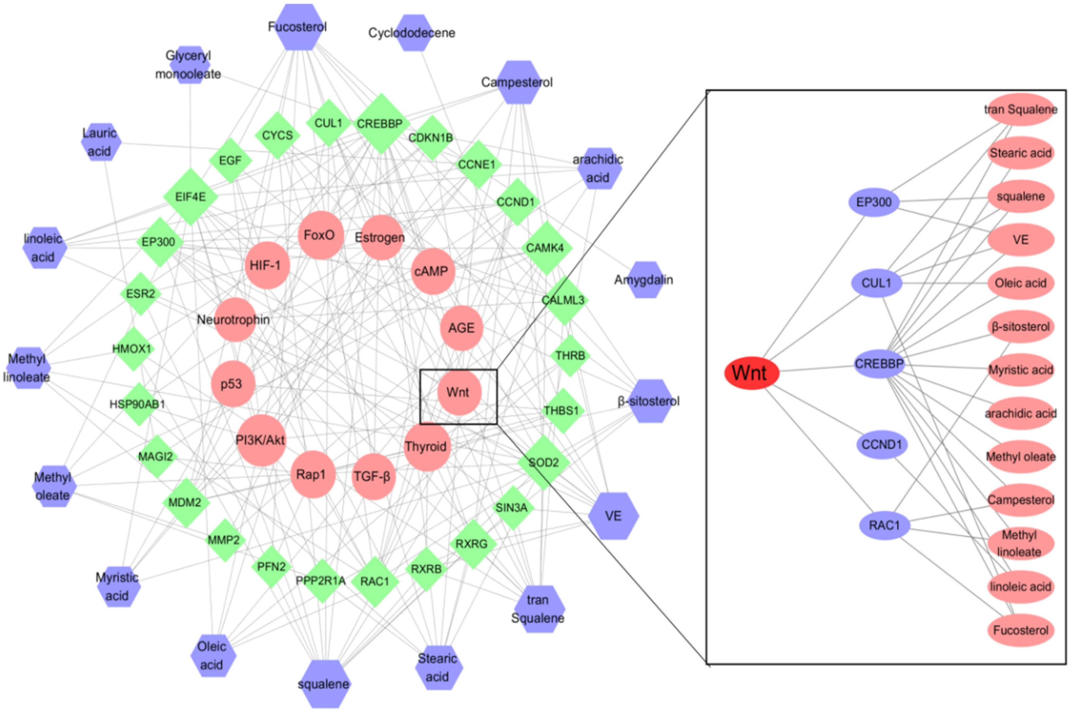 Molecules 27 05242 g008 Molecules 27 05242 g008