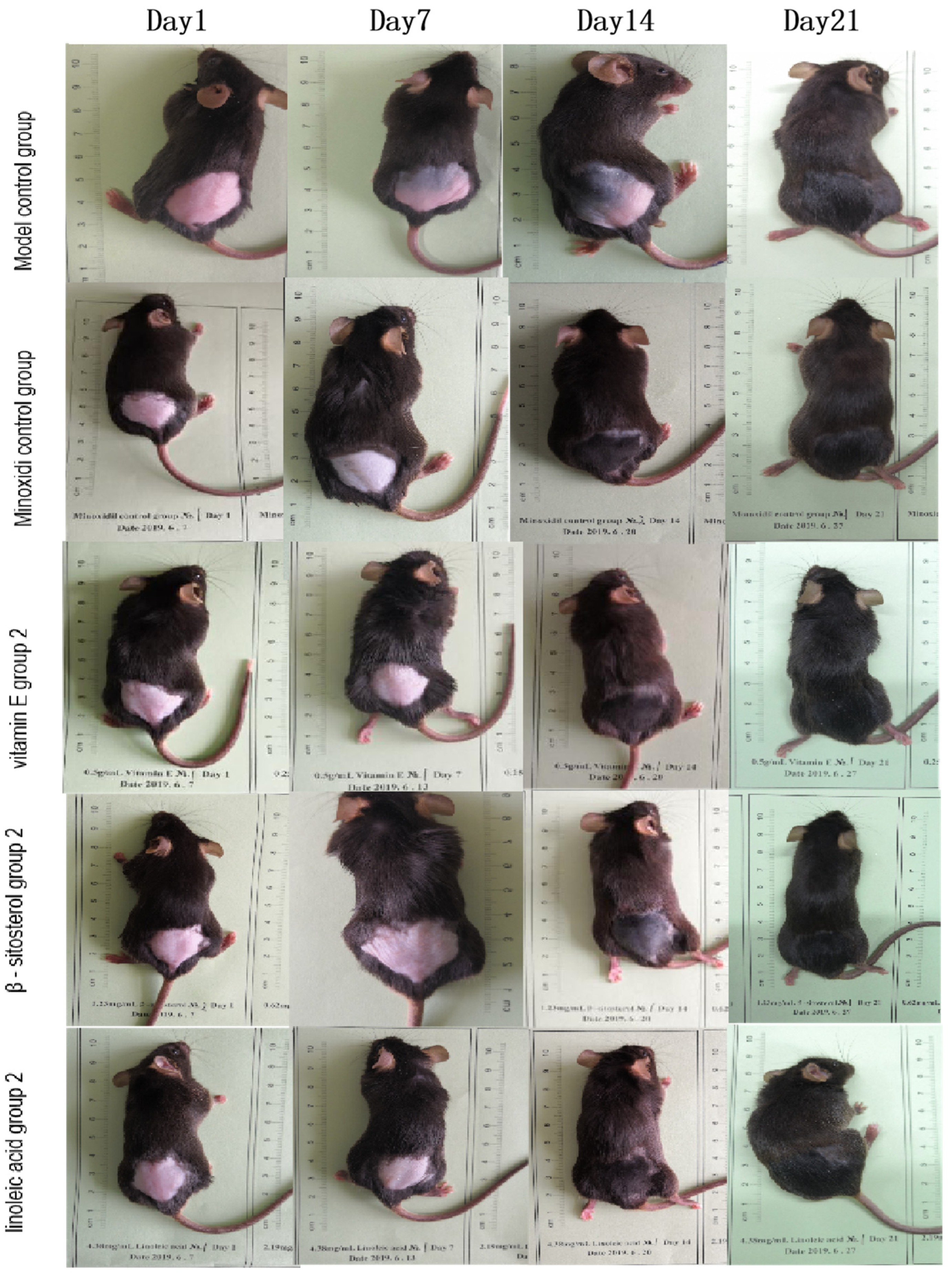 Molecules 27 05242 g013 Molecules 27 05242 g013