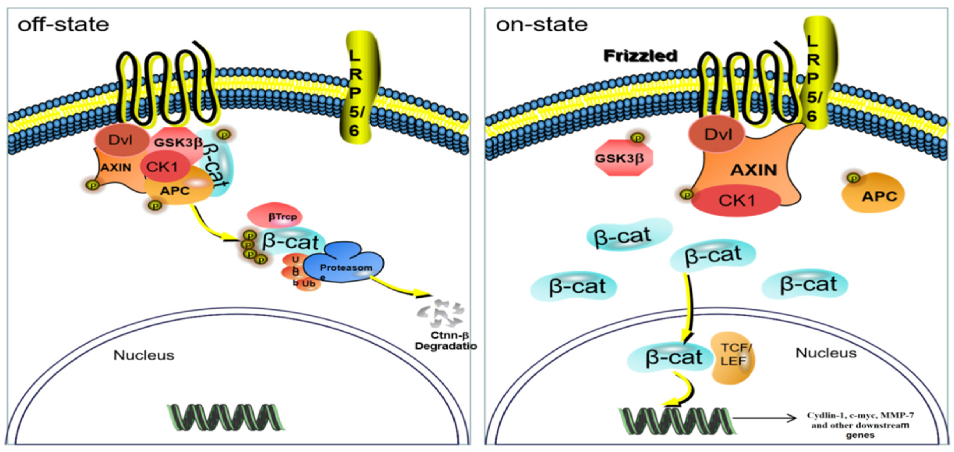 Molecules 27 05242 g017 Molecules 27 05242 g017