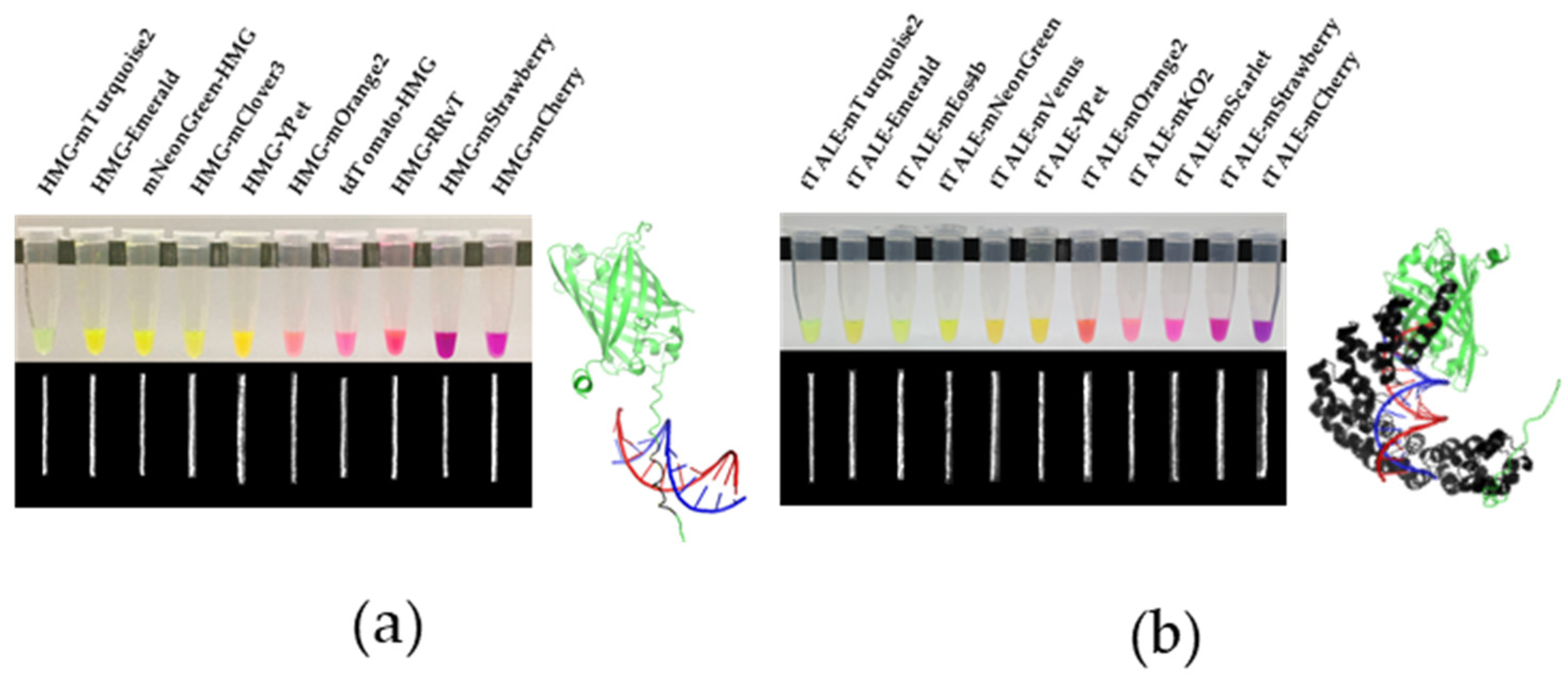 Molecules 27 05248 g001